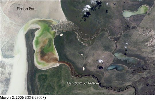 Oshigambo River and Etosha Pan, Namibia