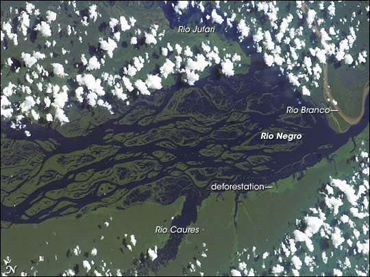 Rio Negro, Amazonia, Brazil