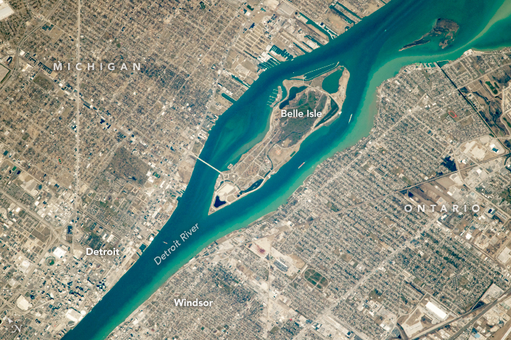 View Low-Resolution Image