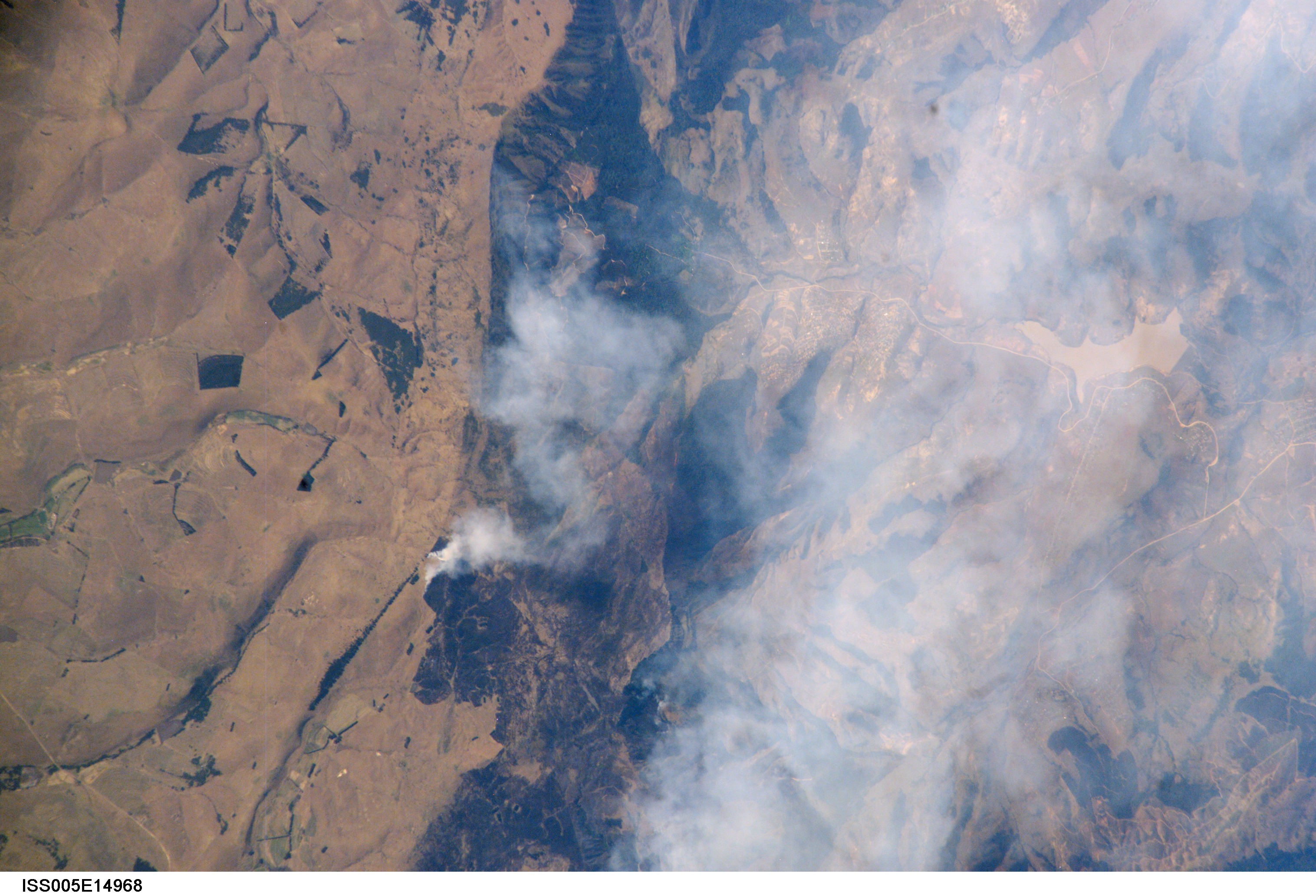 Image display