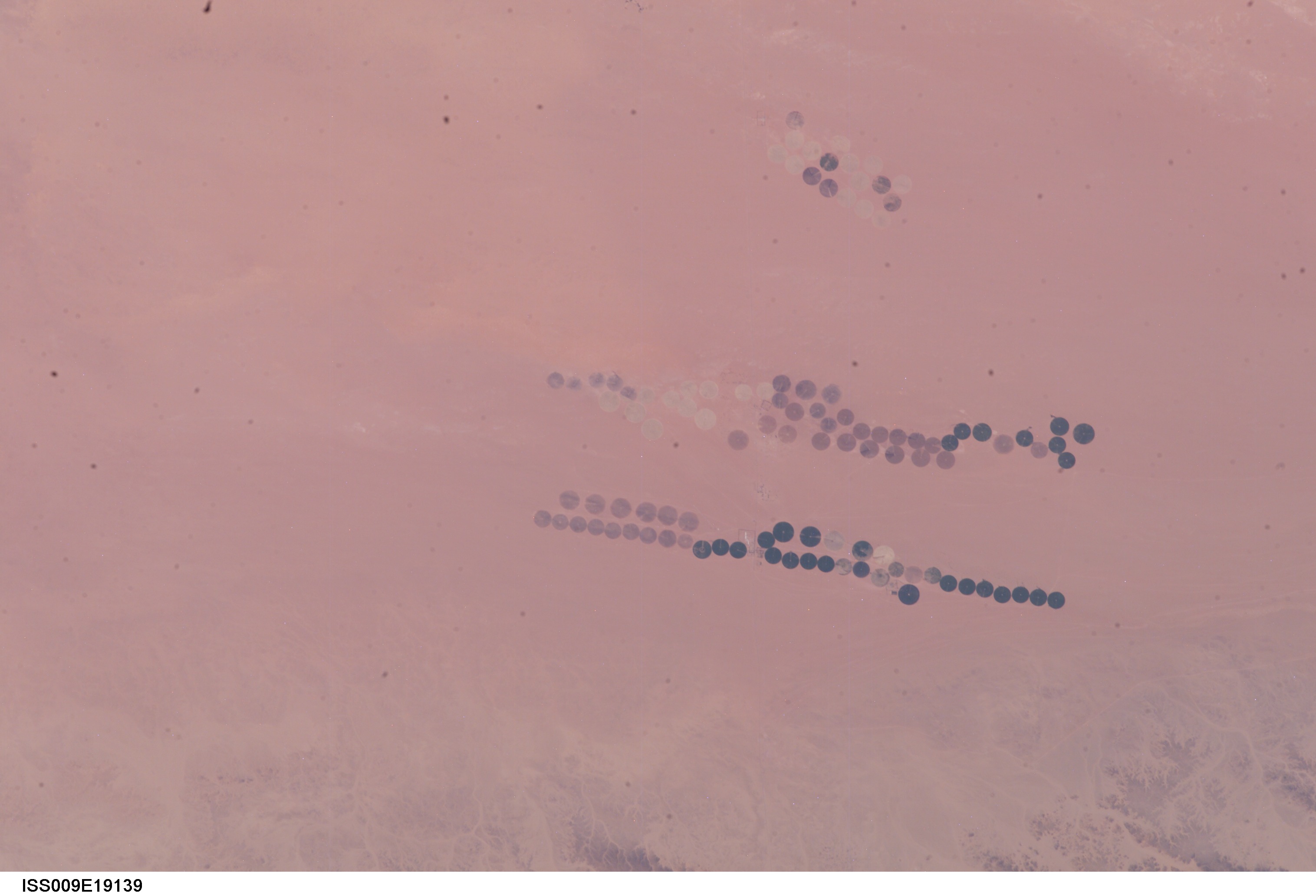Image display