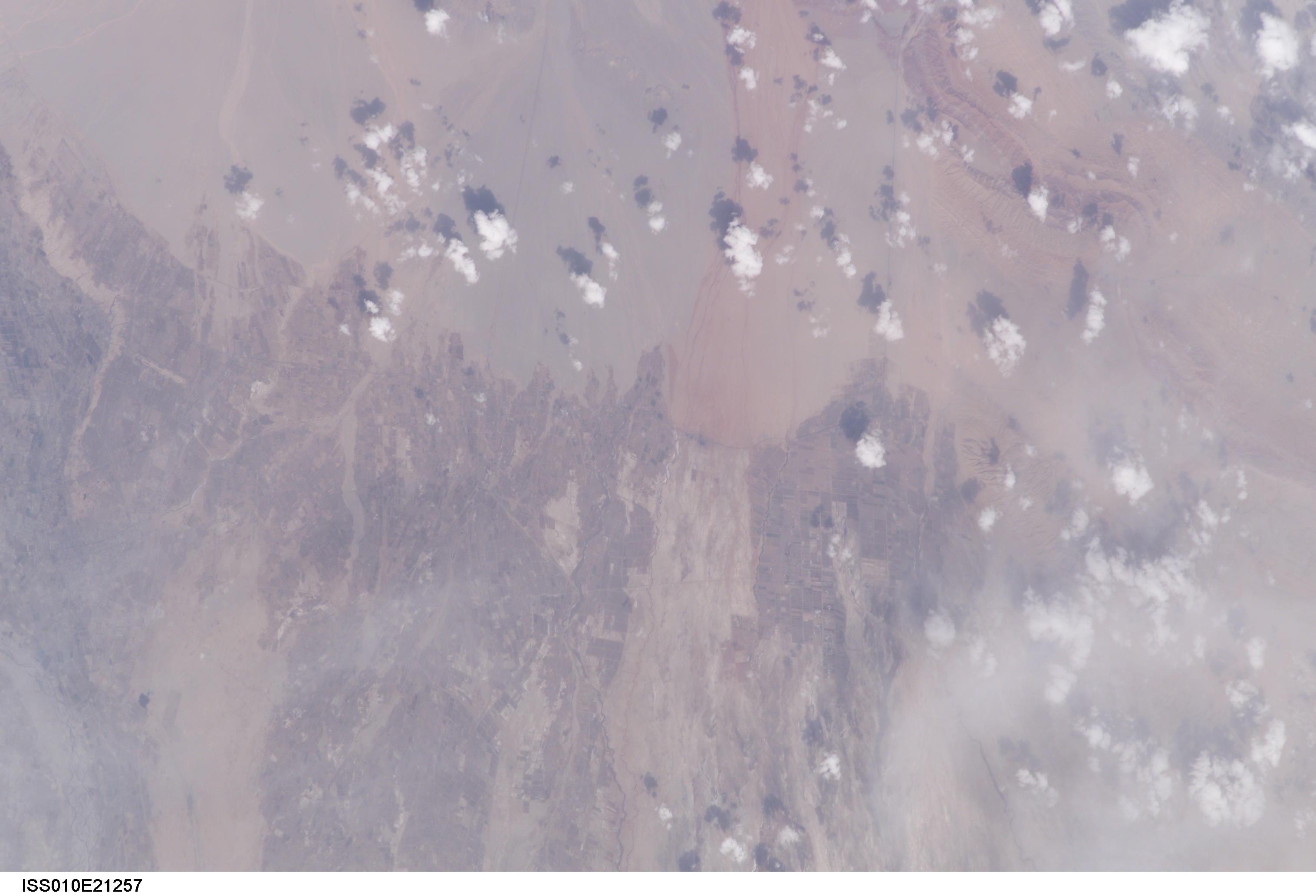 Image display