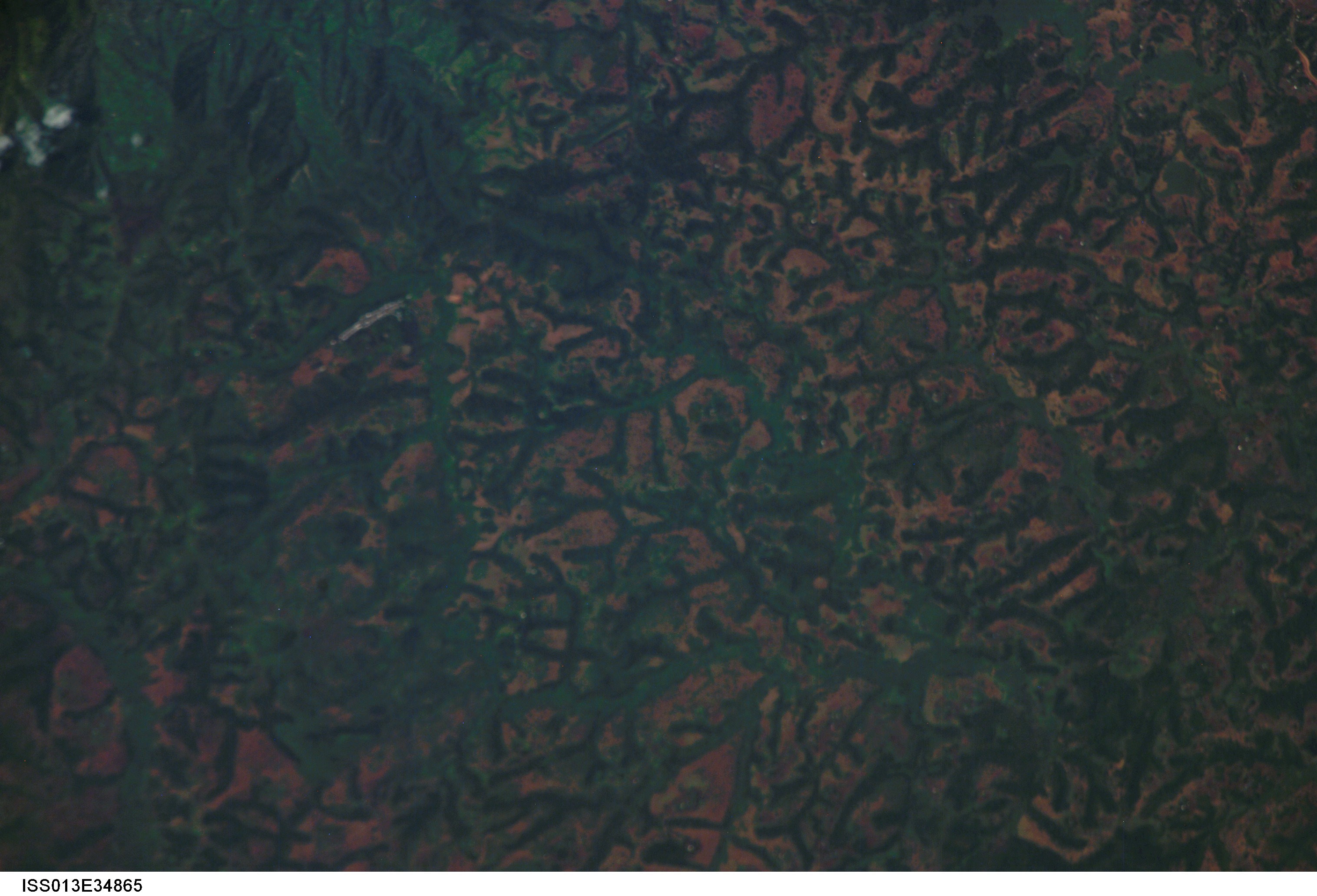 Image display