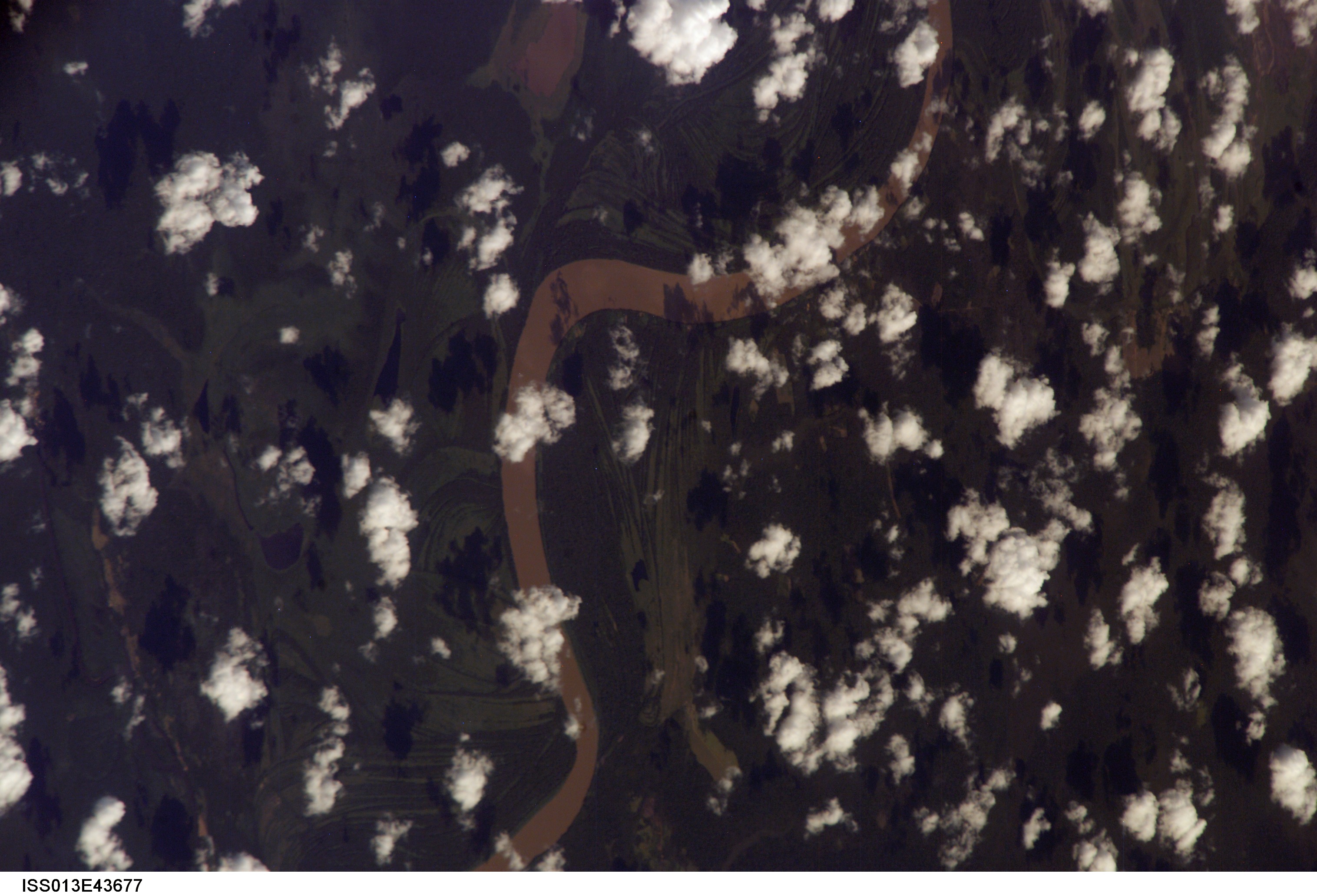 Image display