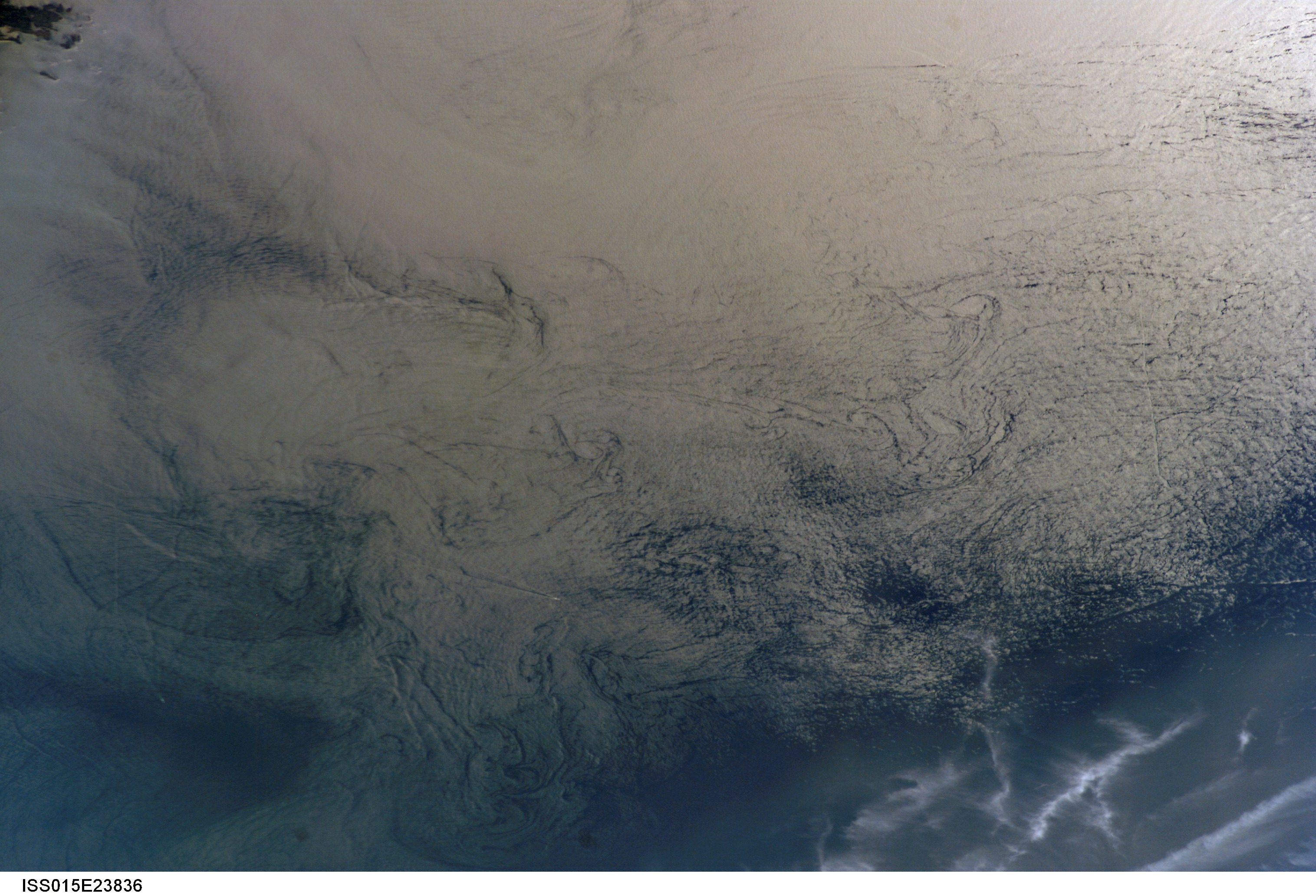 Image display