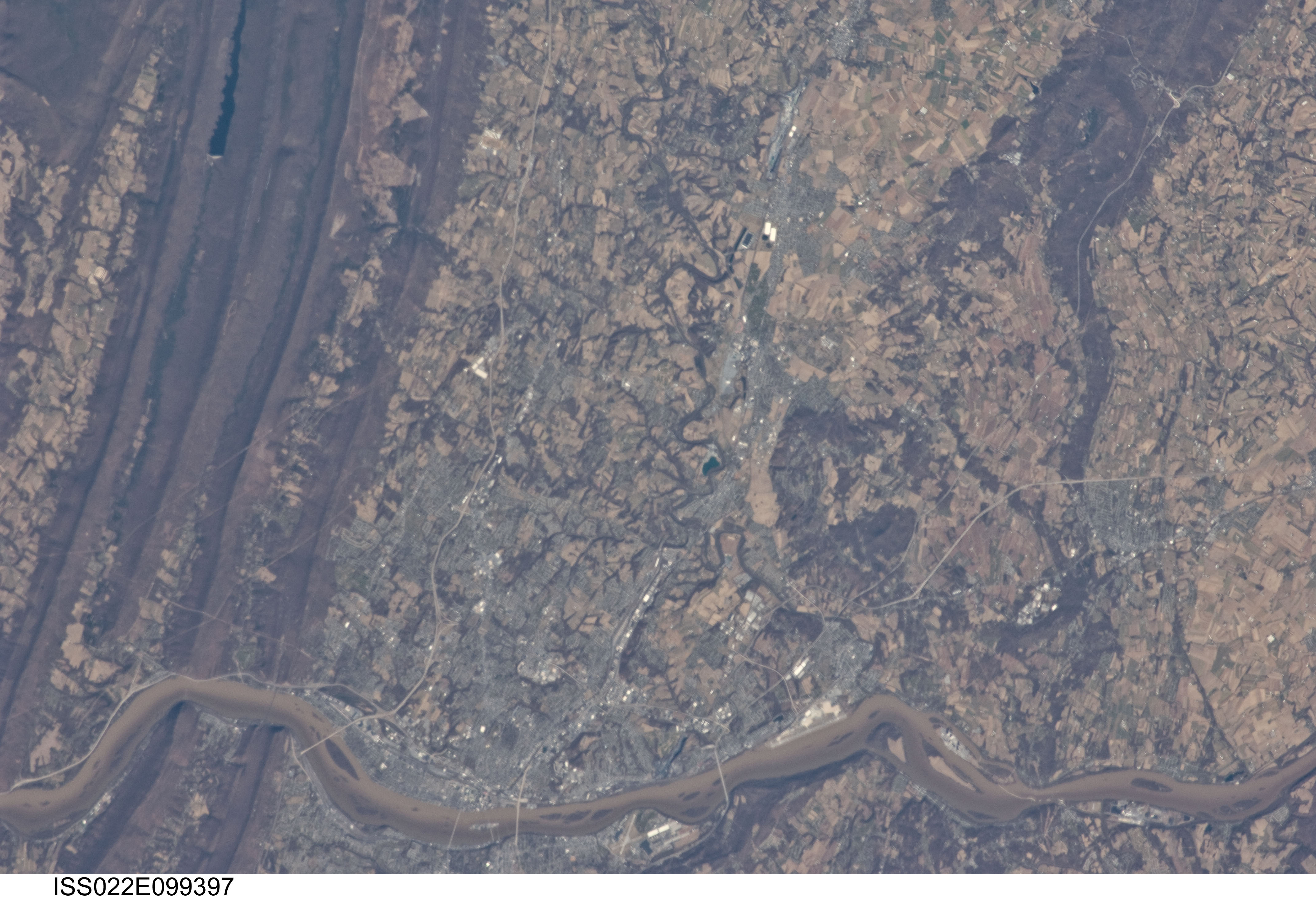 Image display