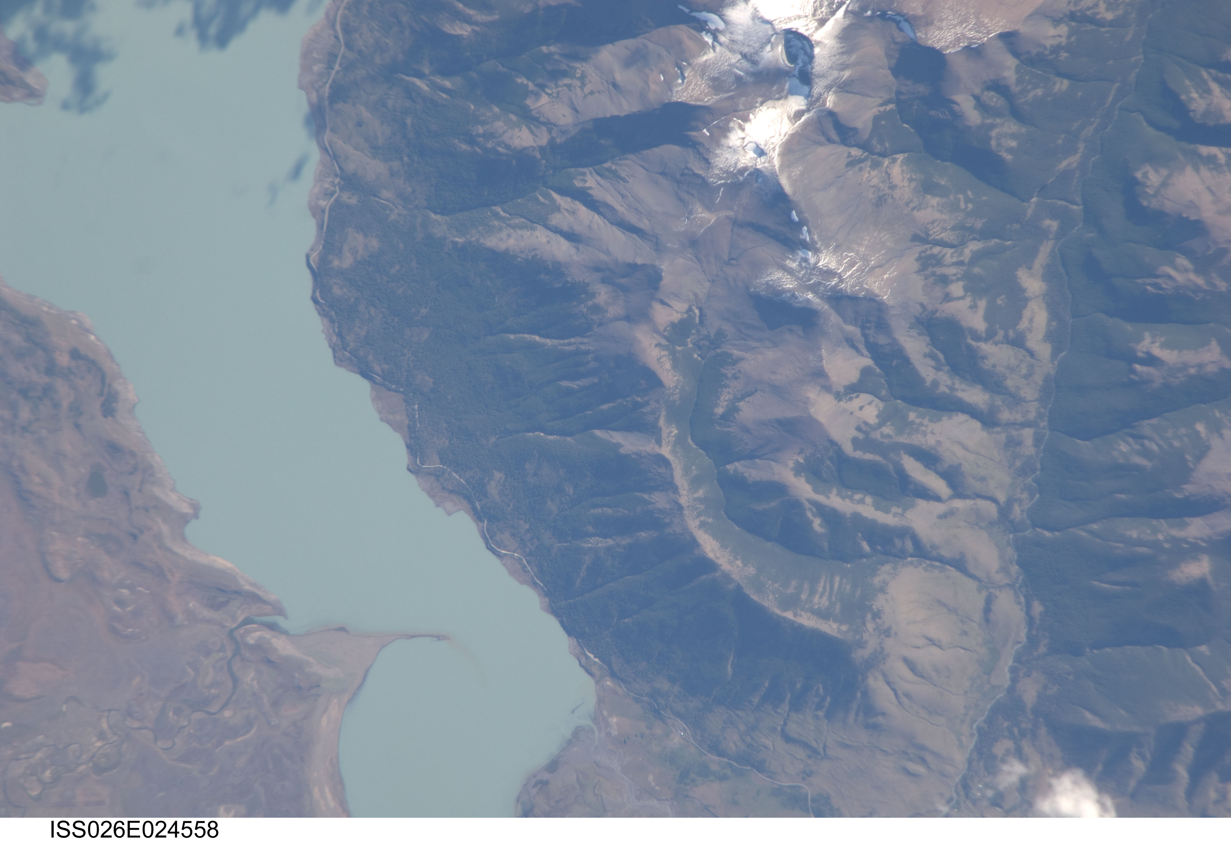 Image display