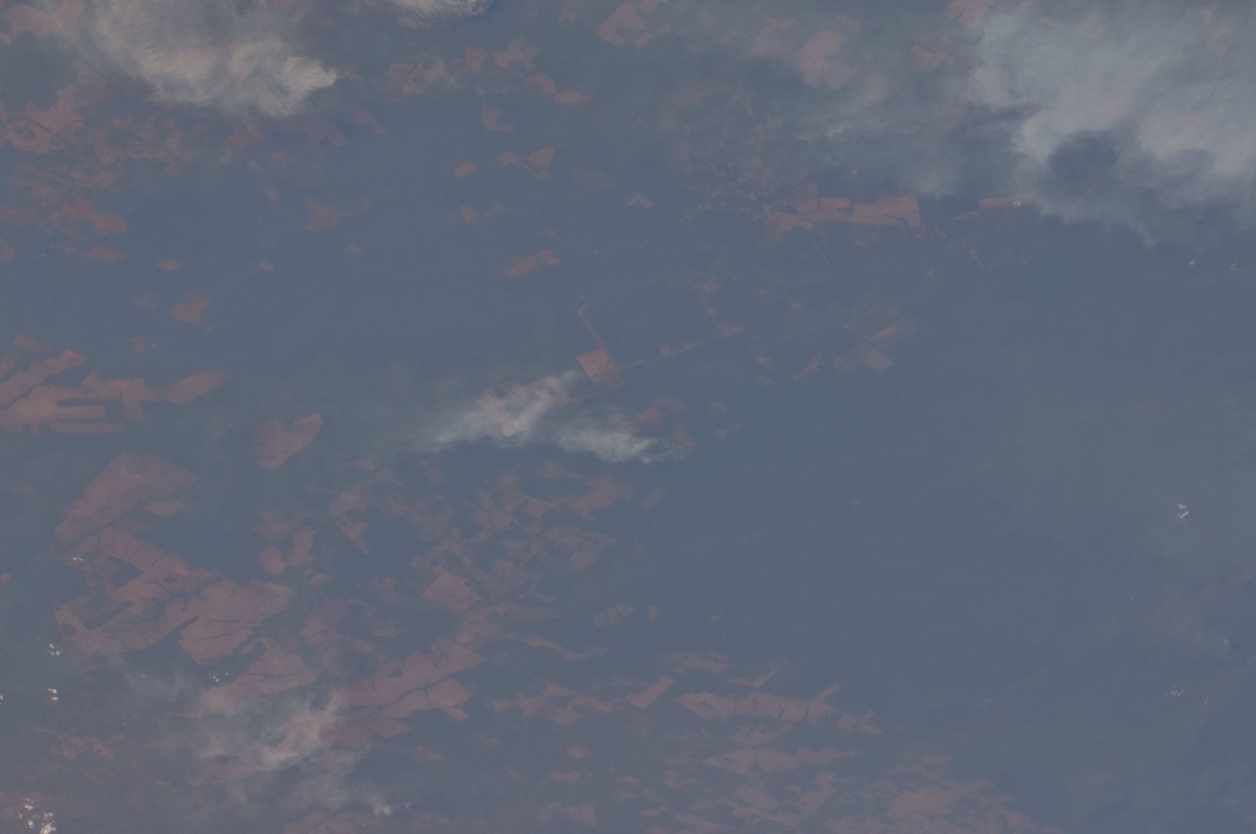 Image display