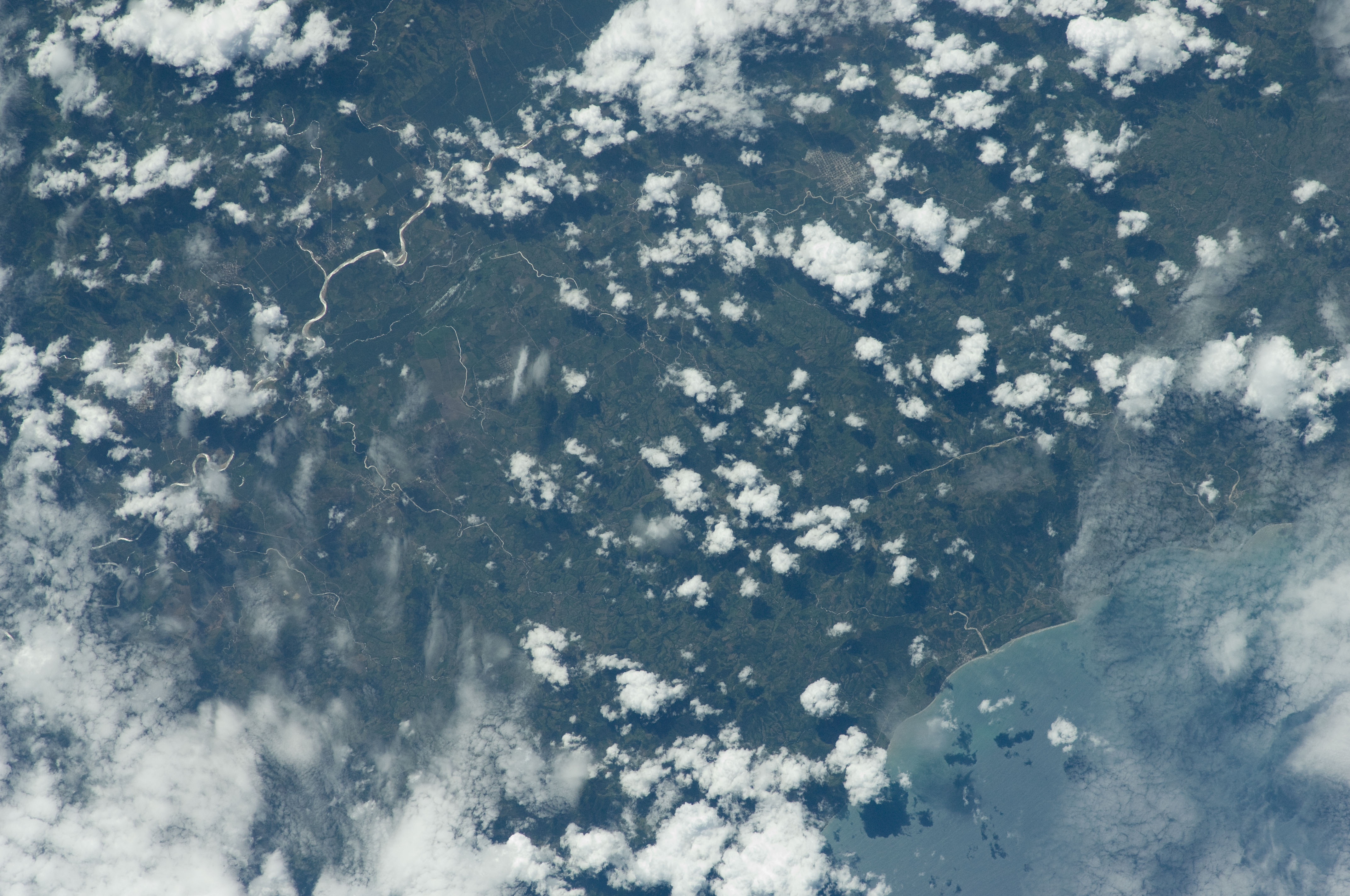 Image display