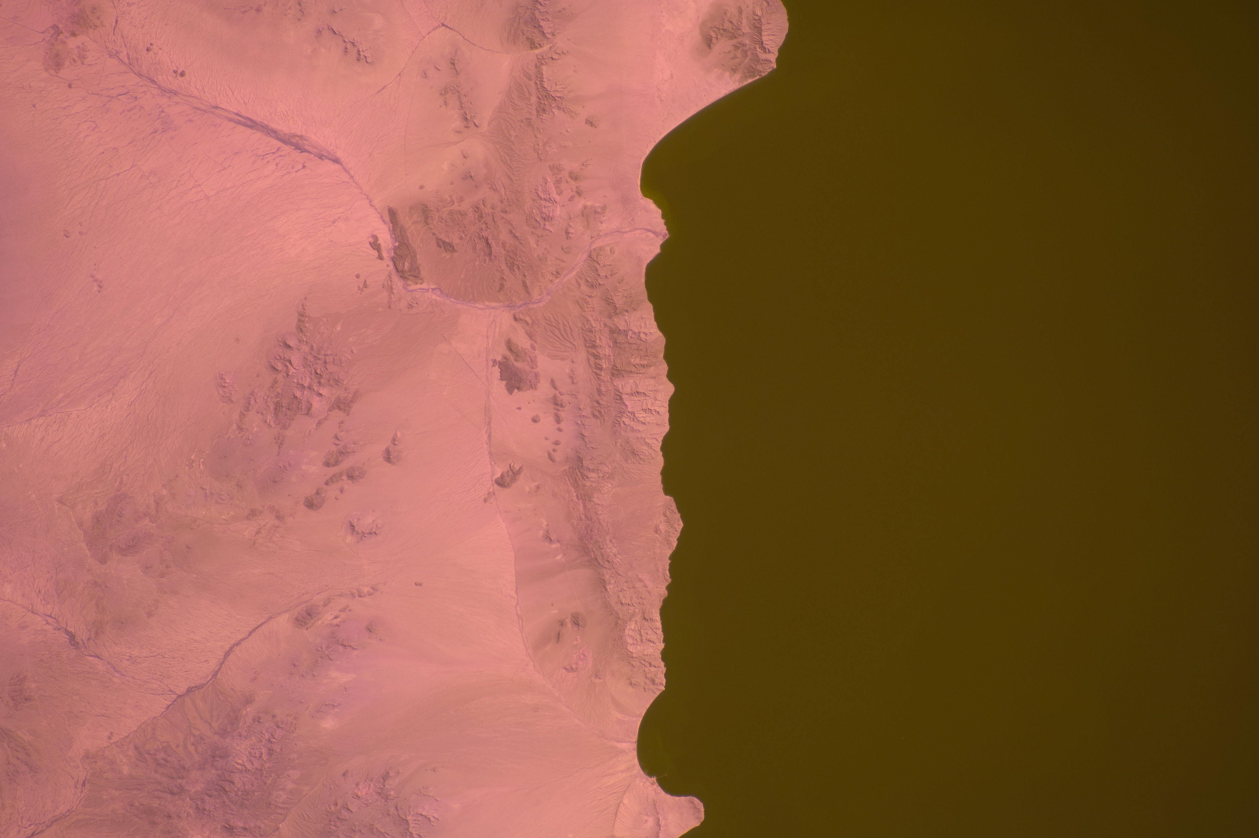 Image display