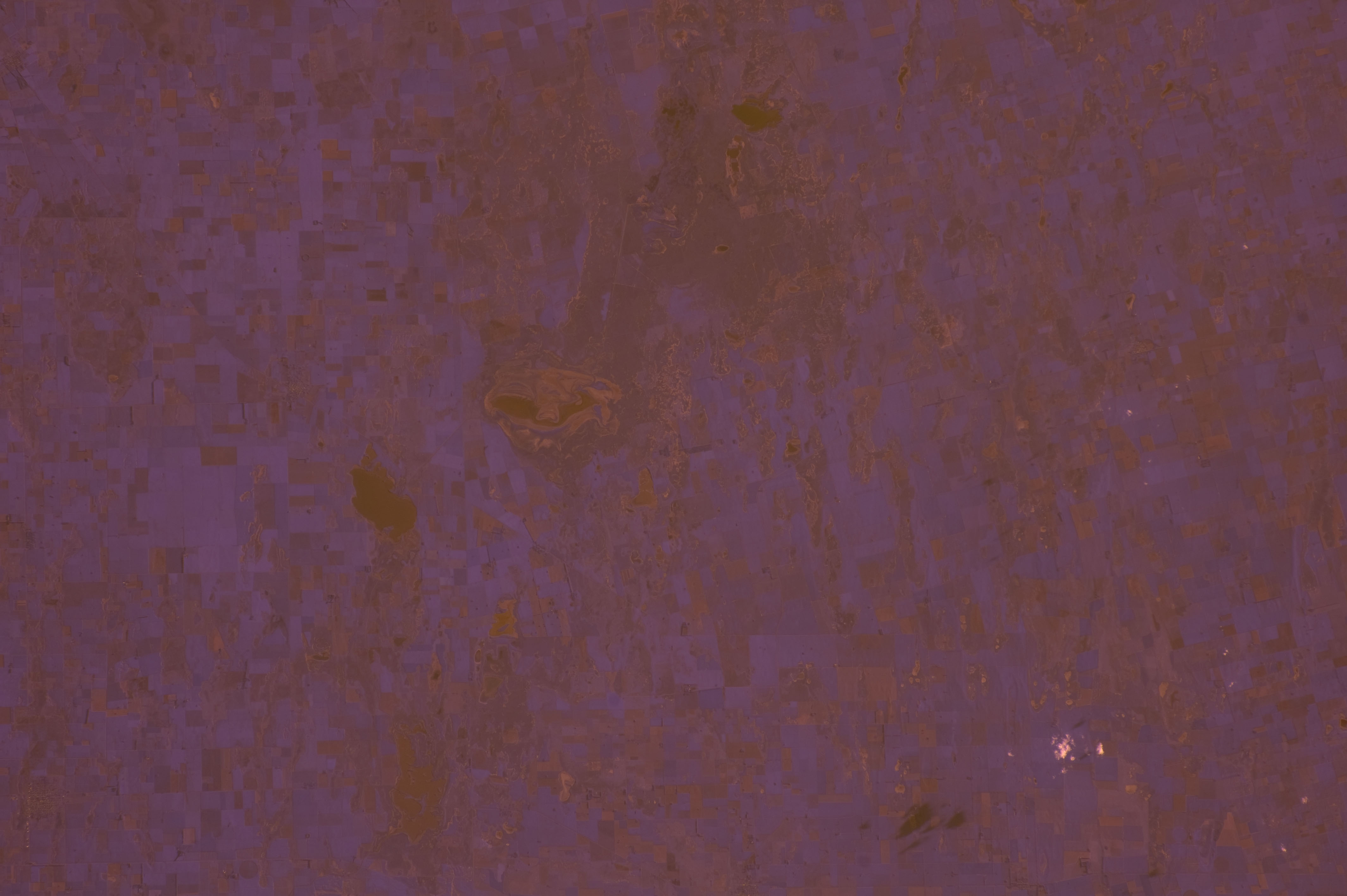 Image display