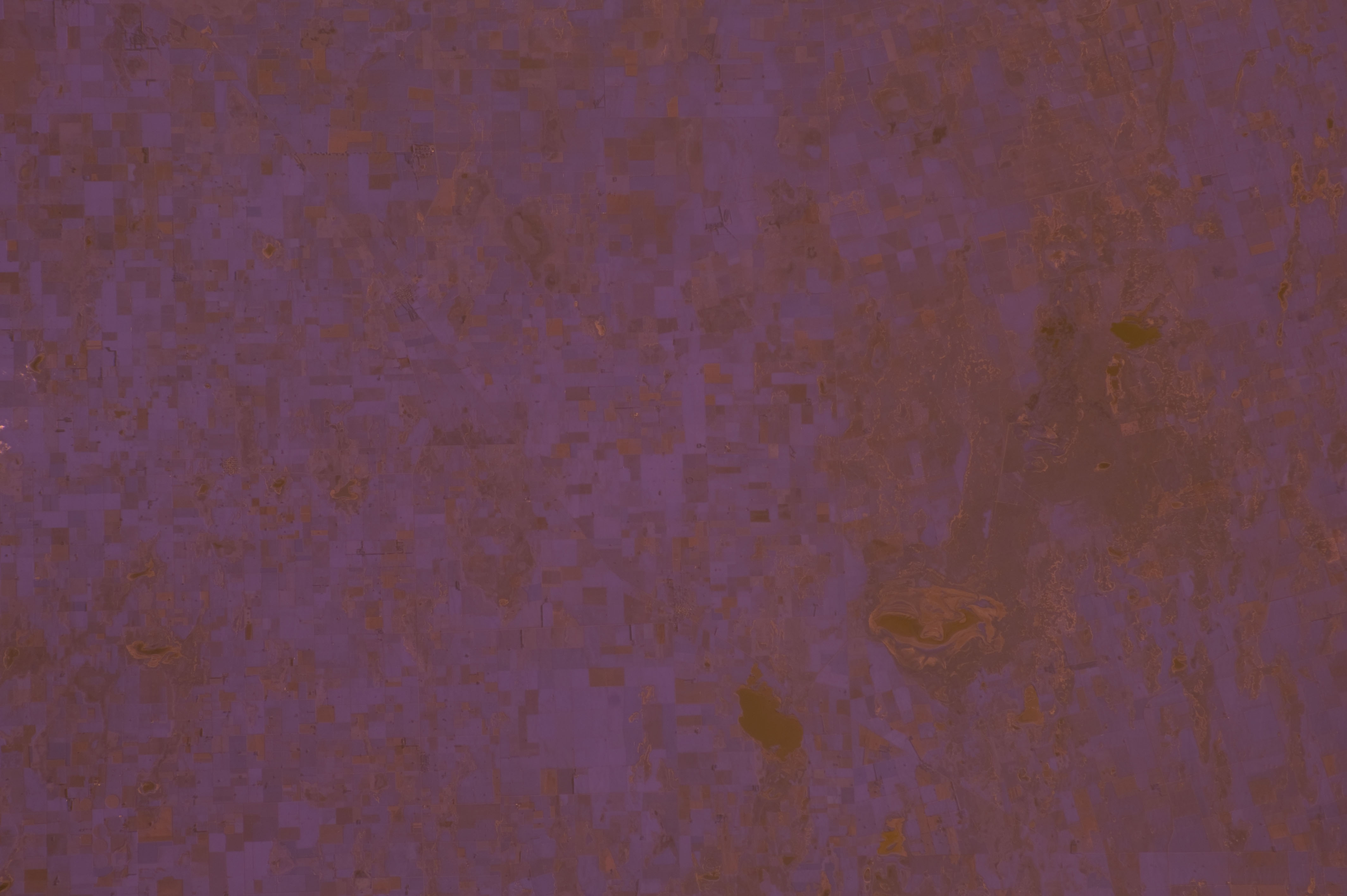 Image display