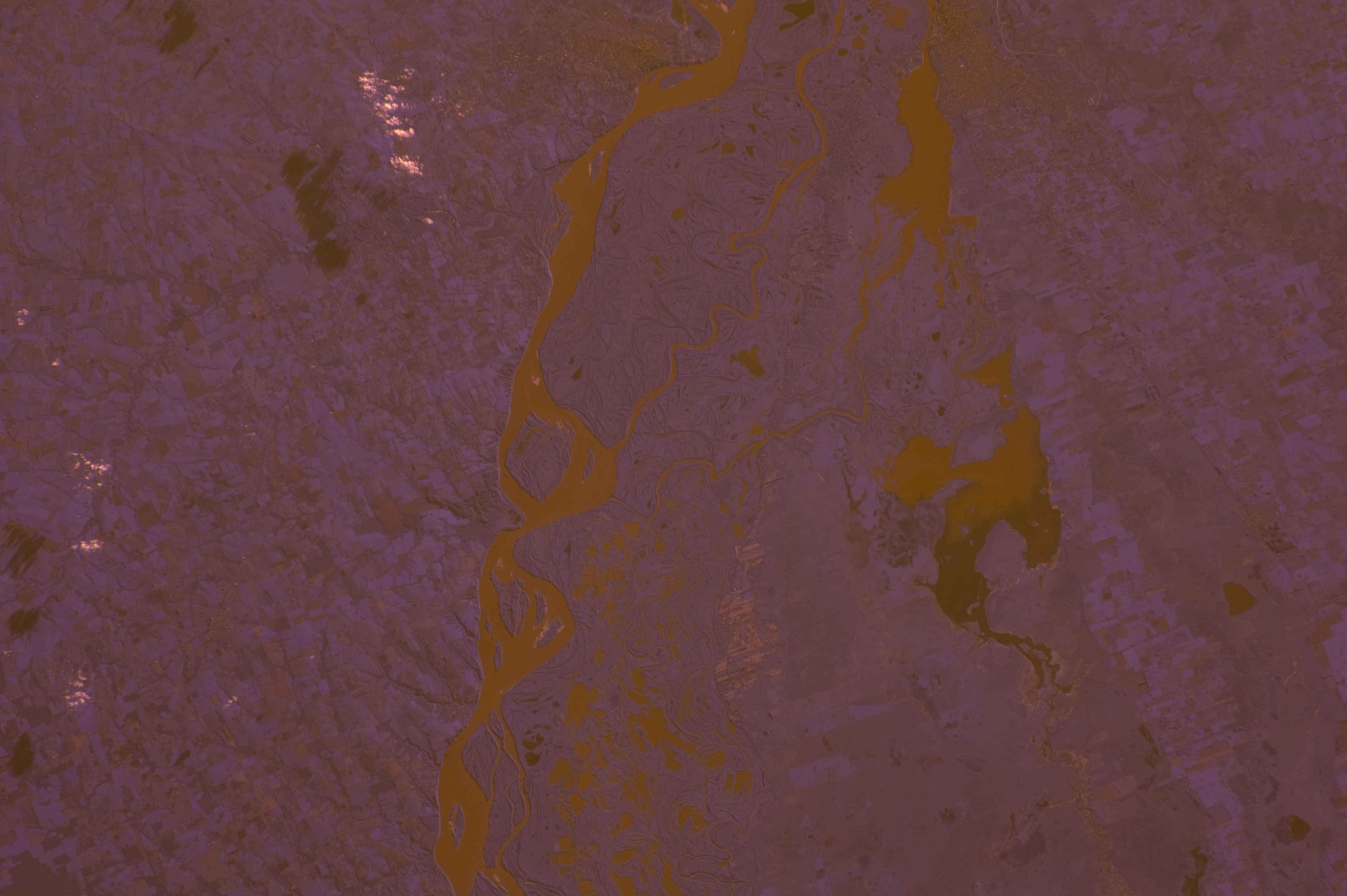 Image display