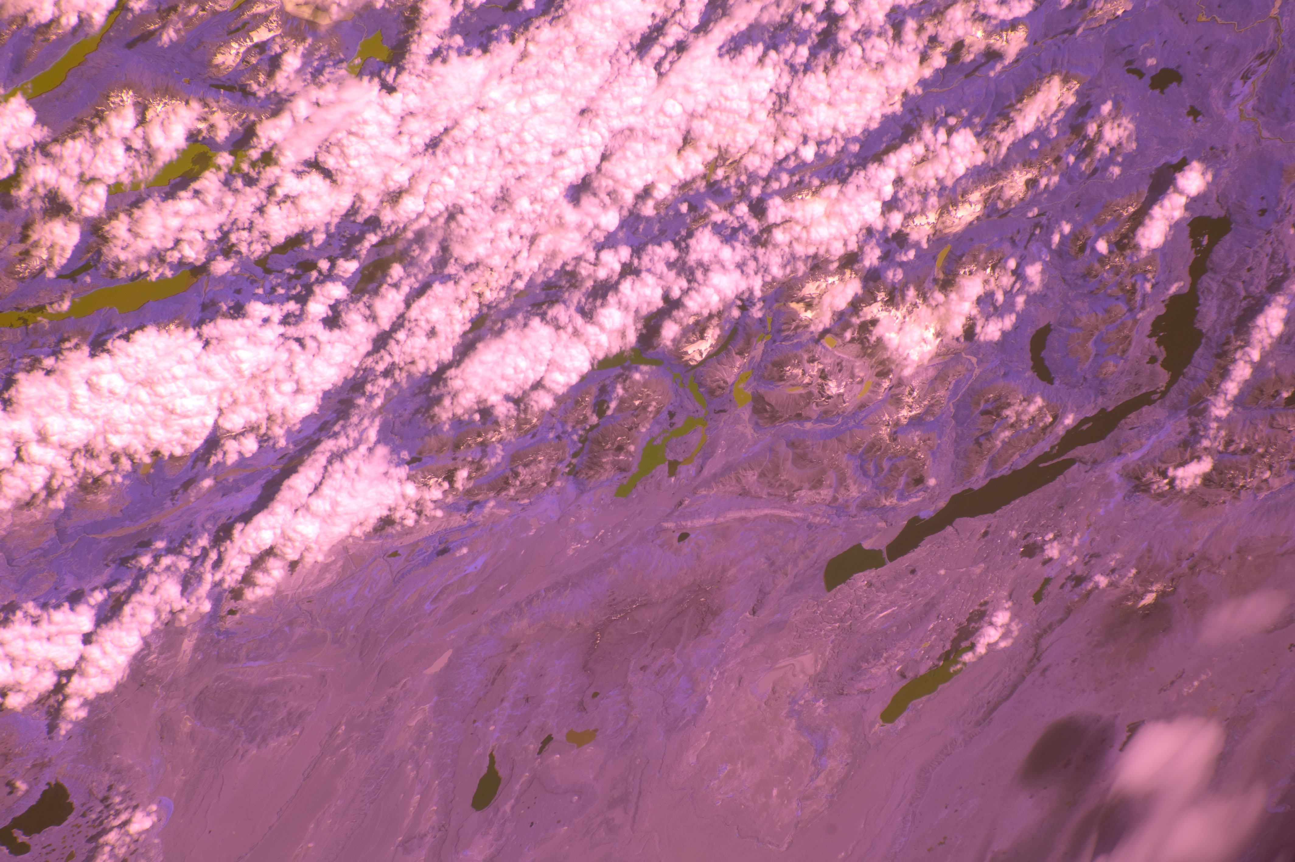 Image display