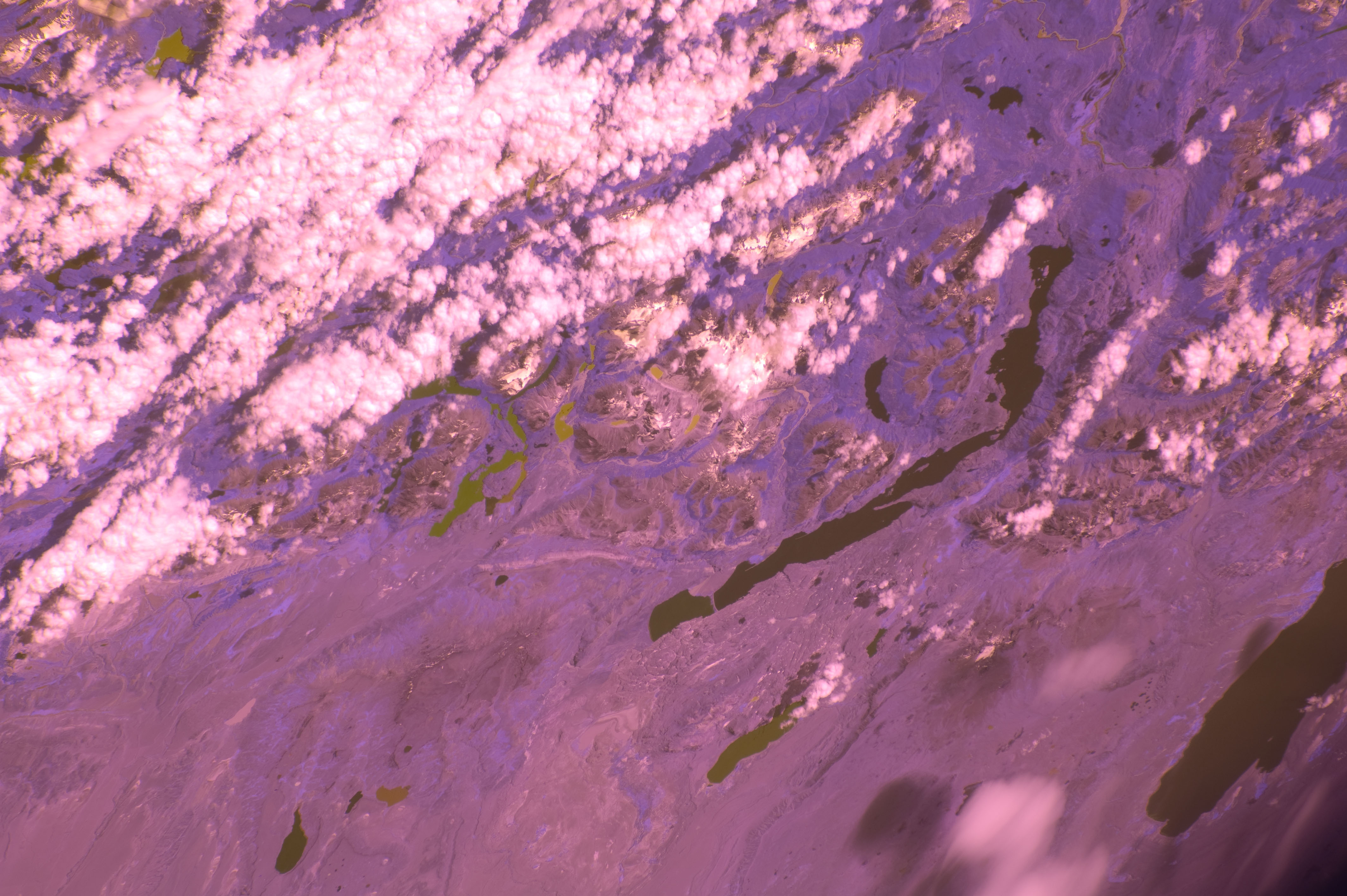 Image display