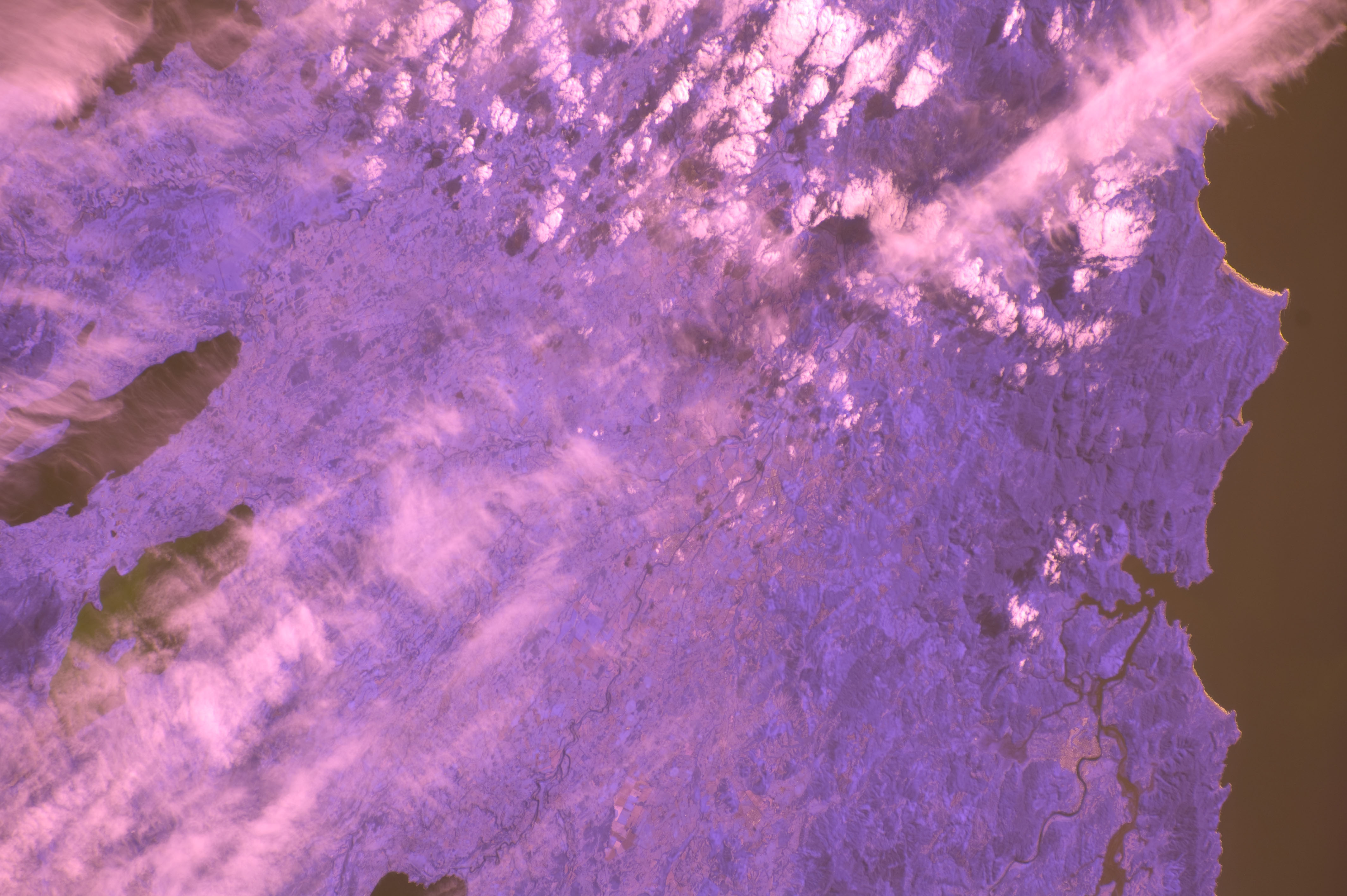 Image display