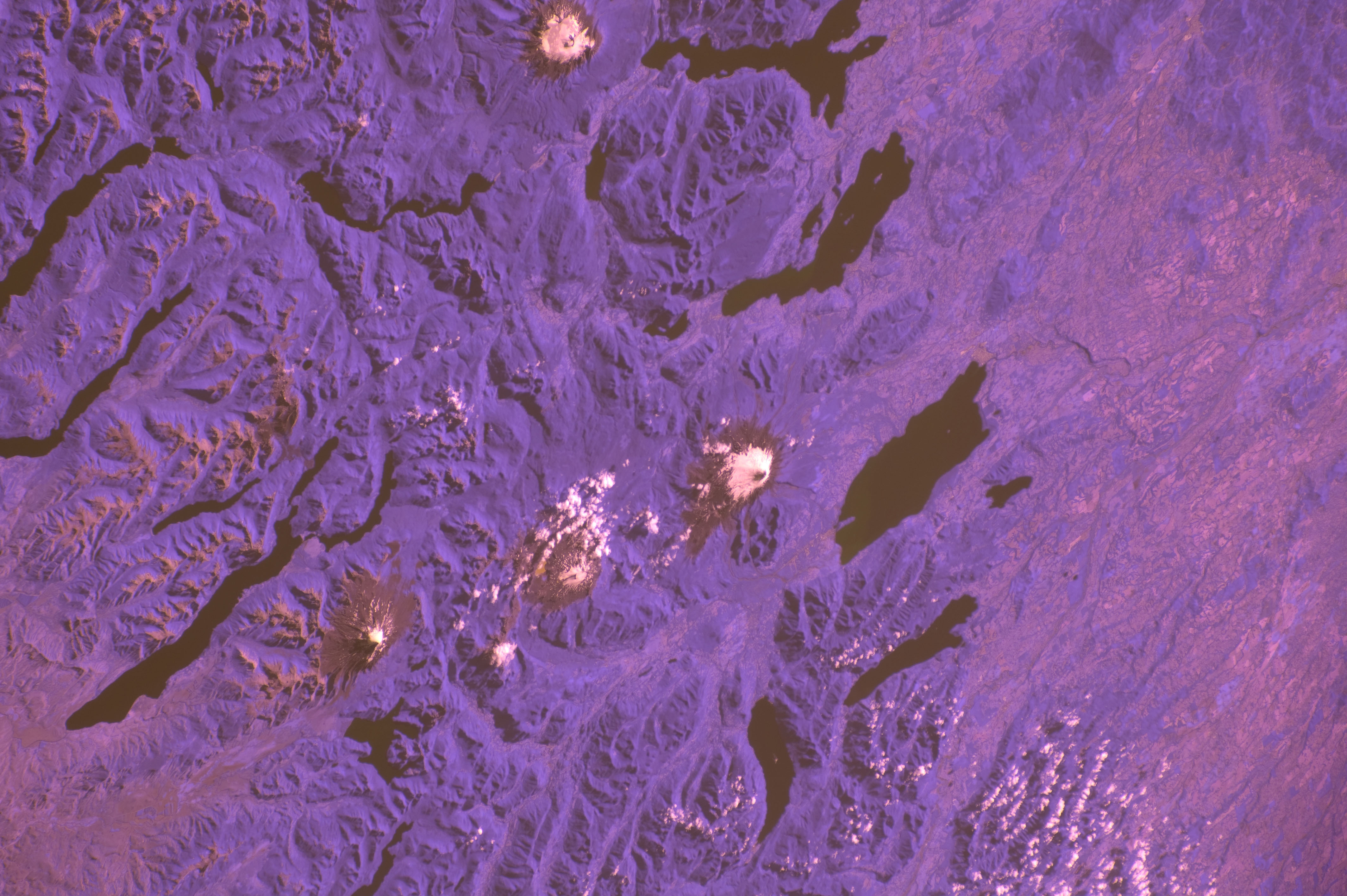 Image display