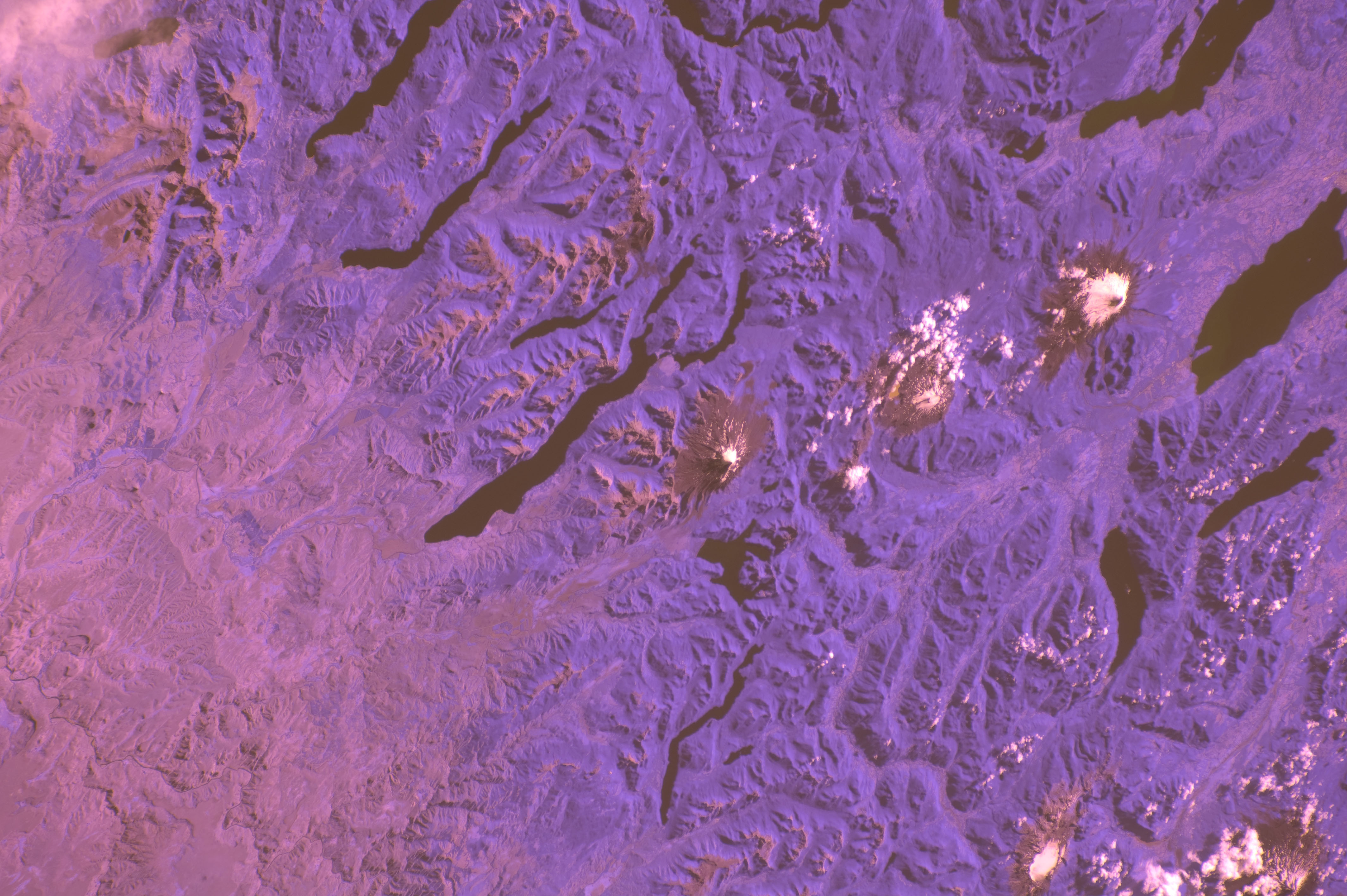 Image display