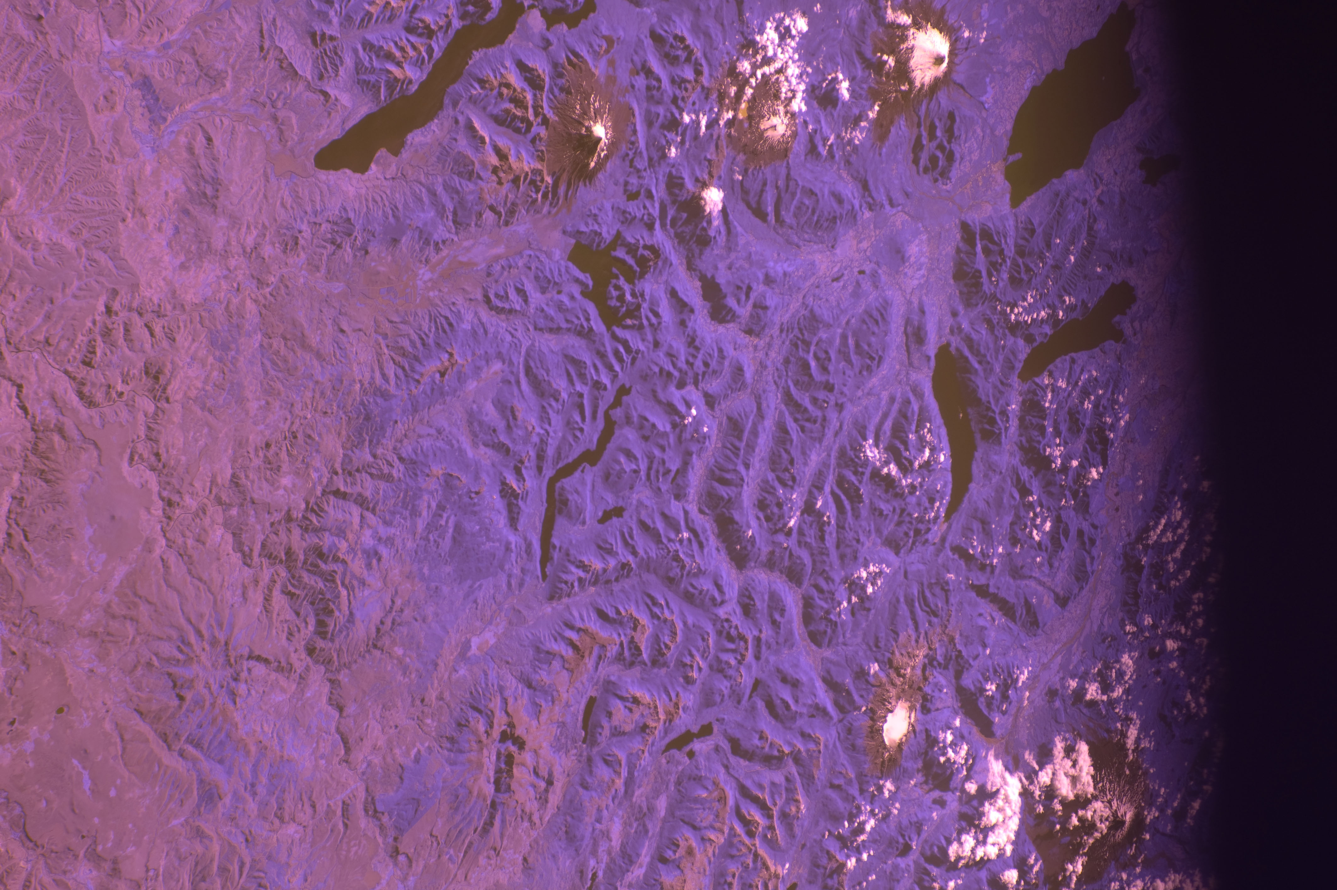 Image display