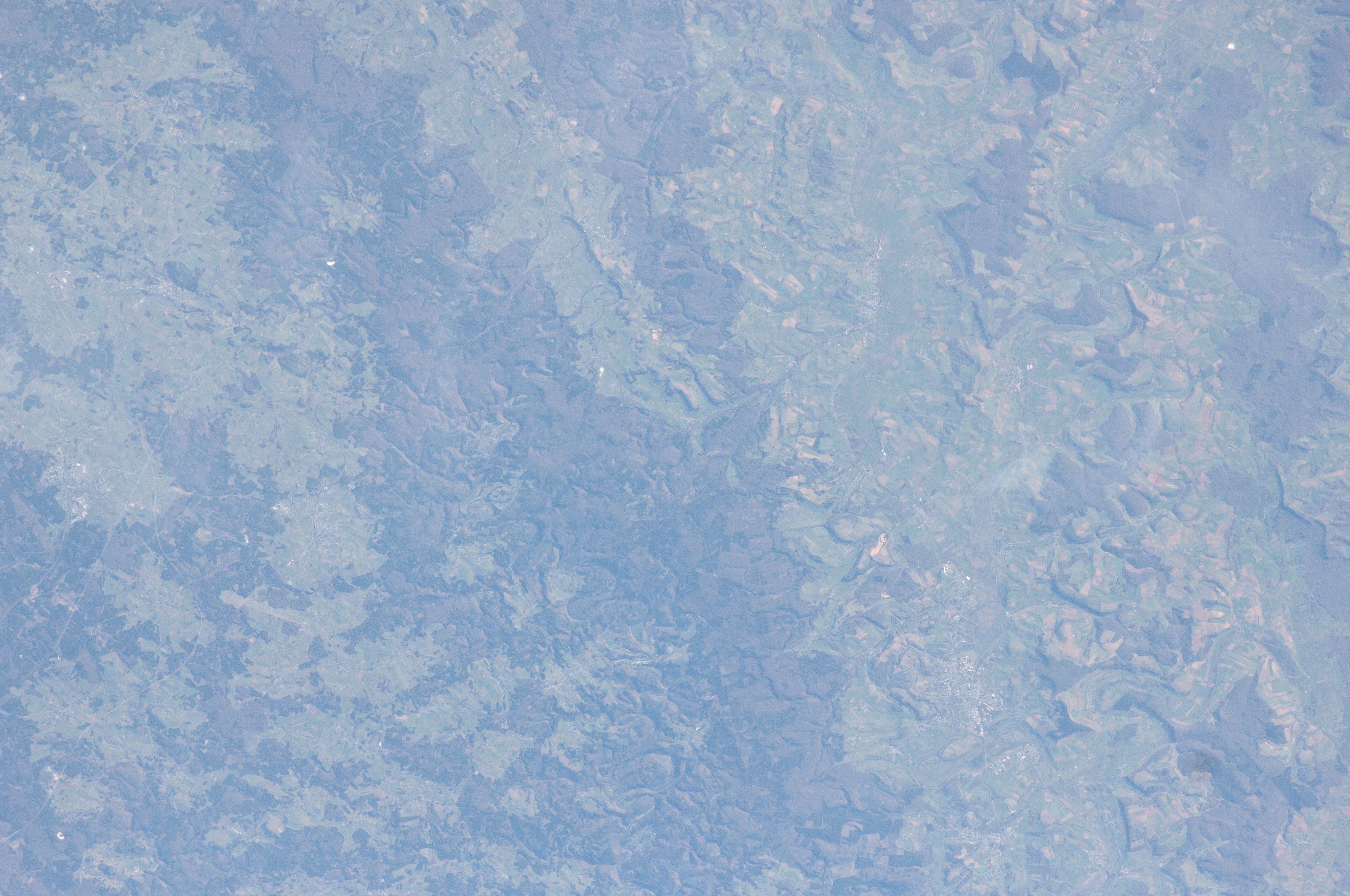 Image display