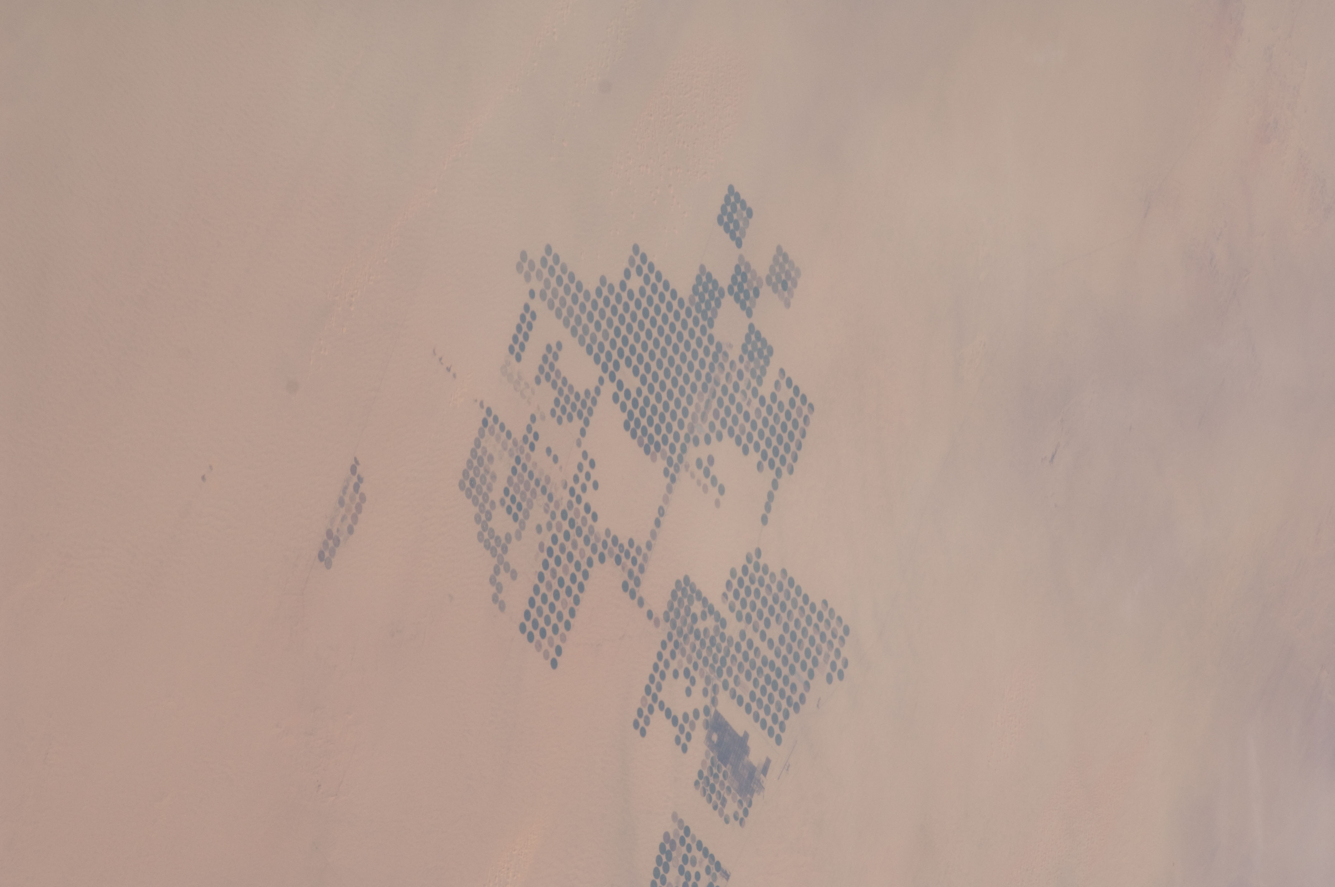 Image display