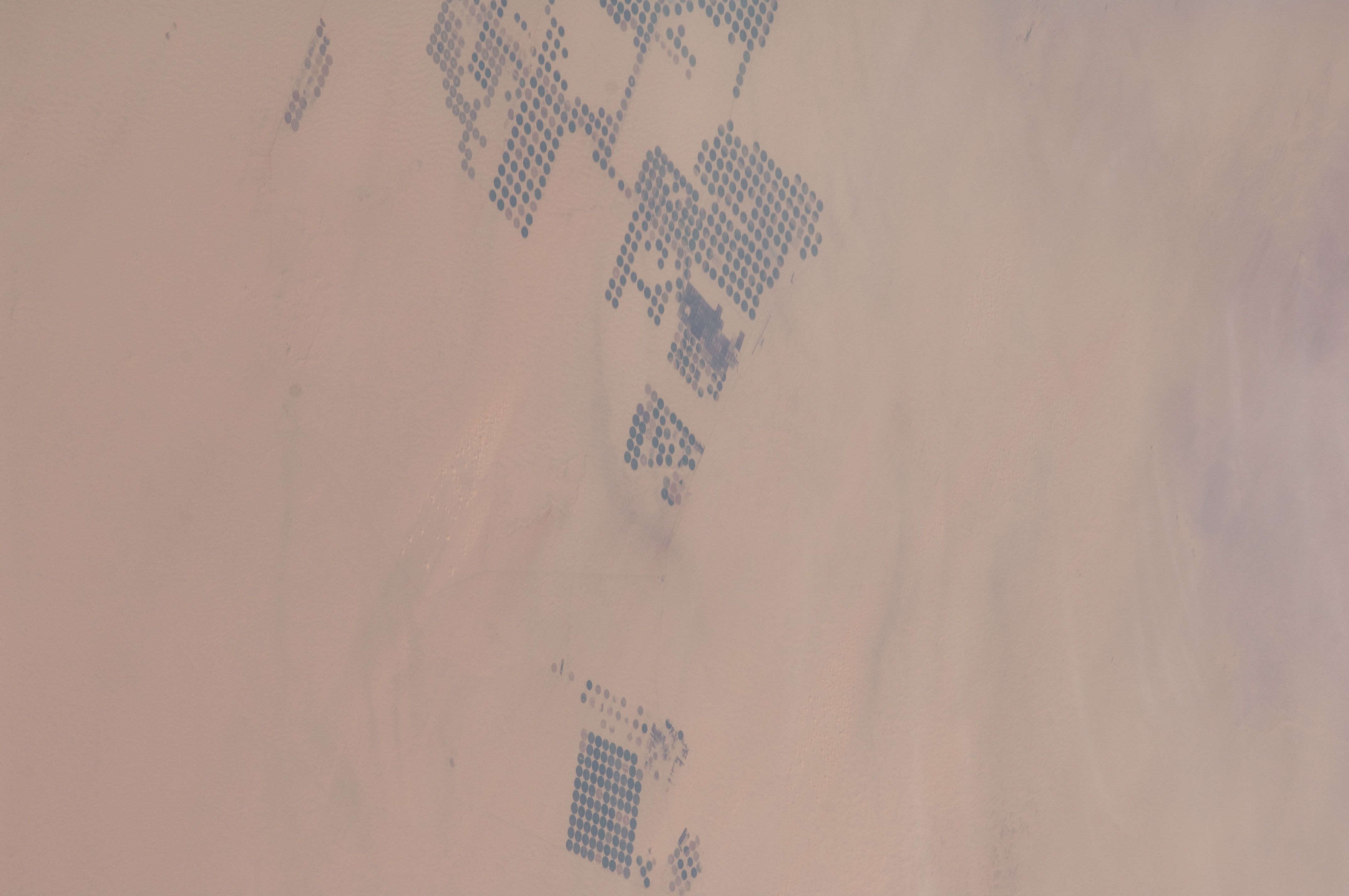 Image display