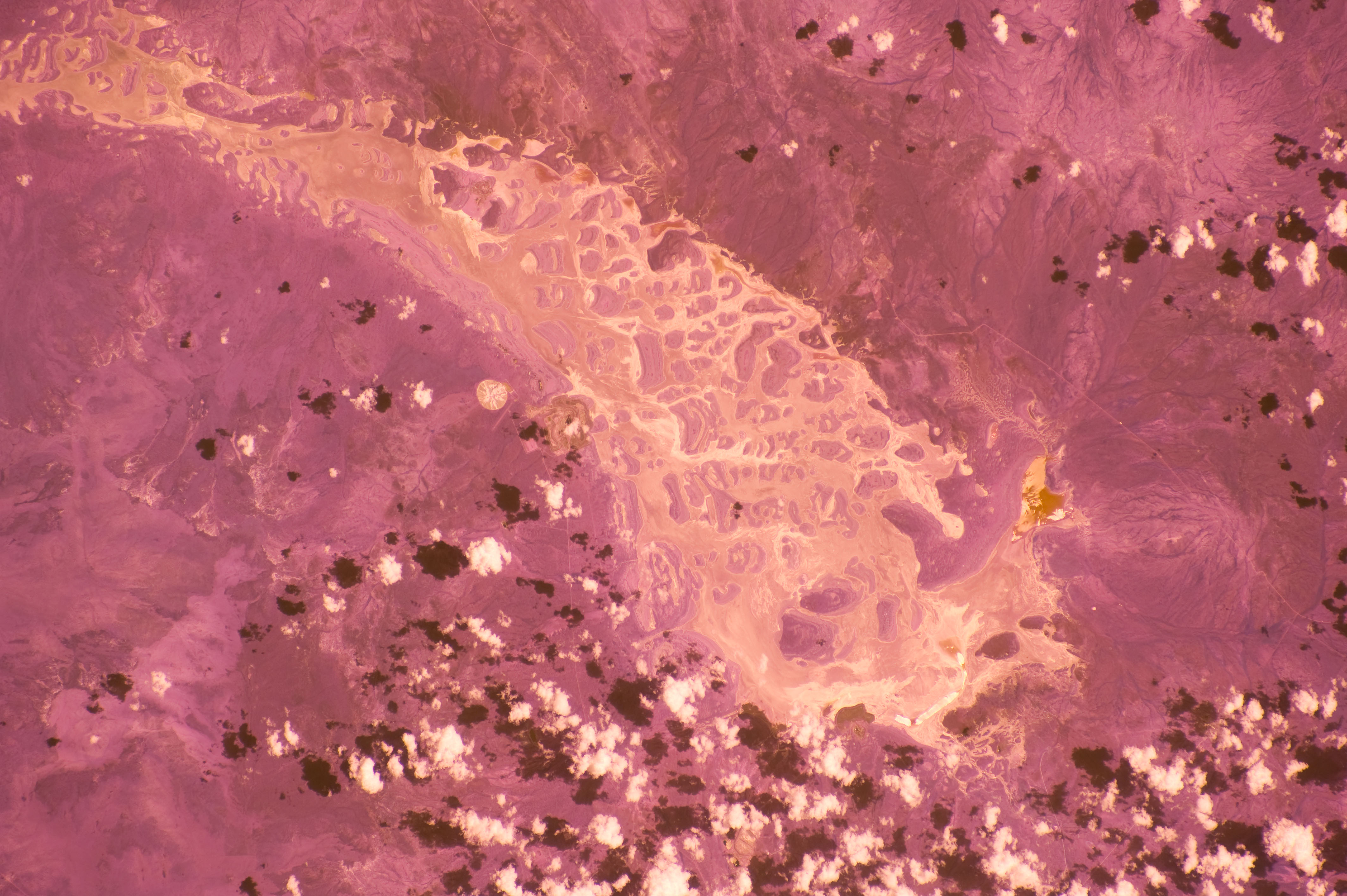 Image display