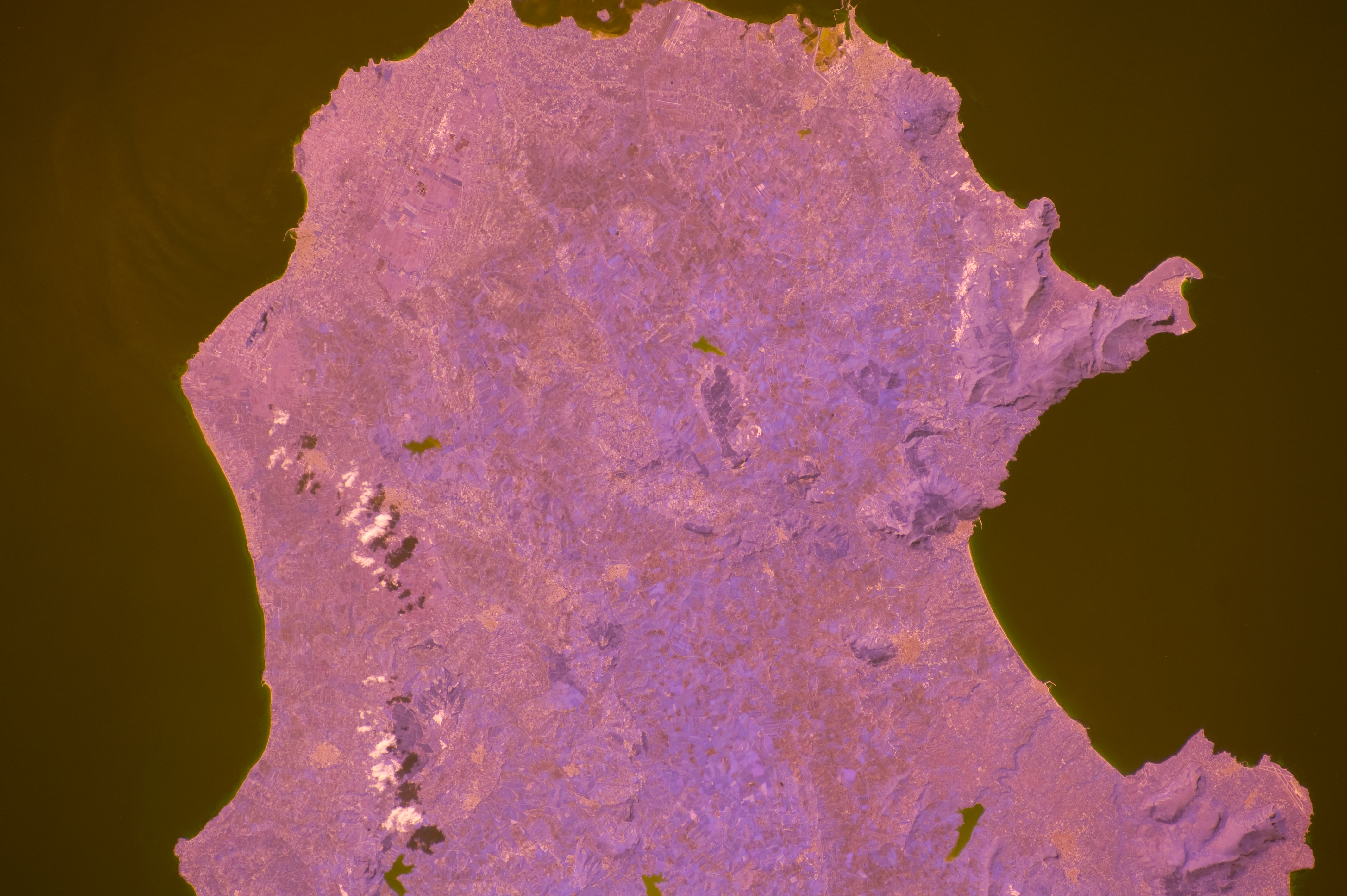 Image display