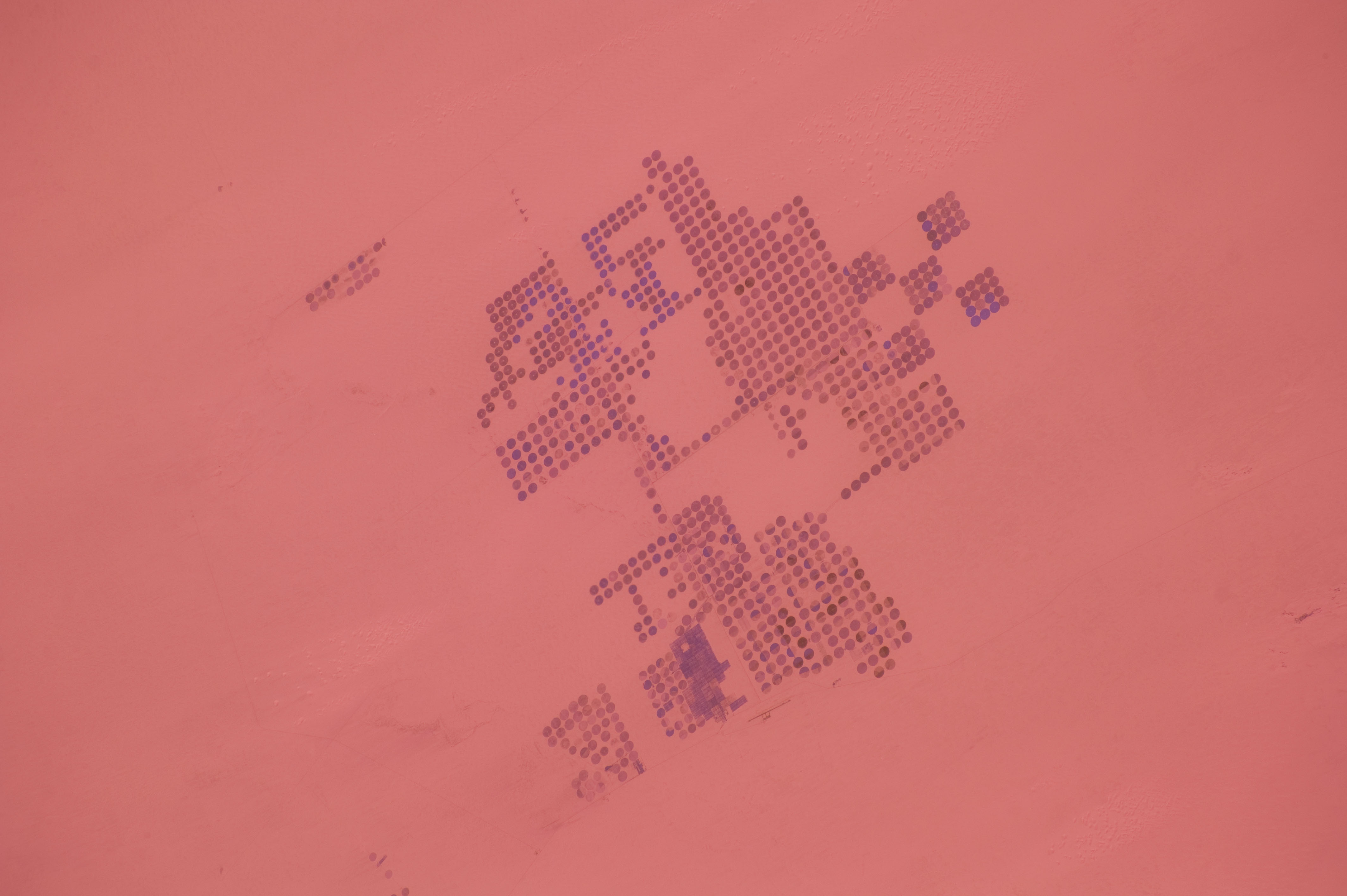 Image display