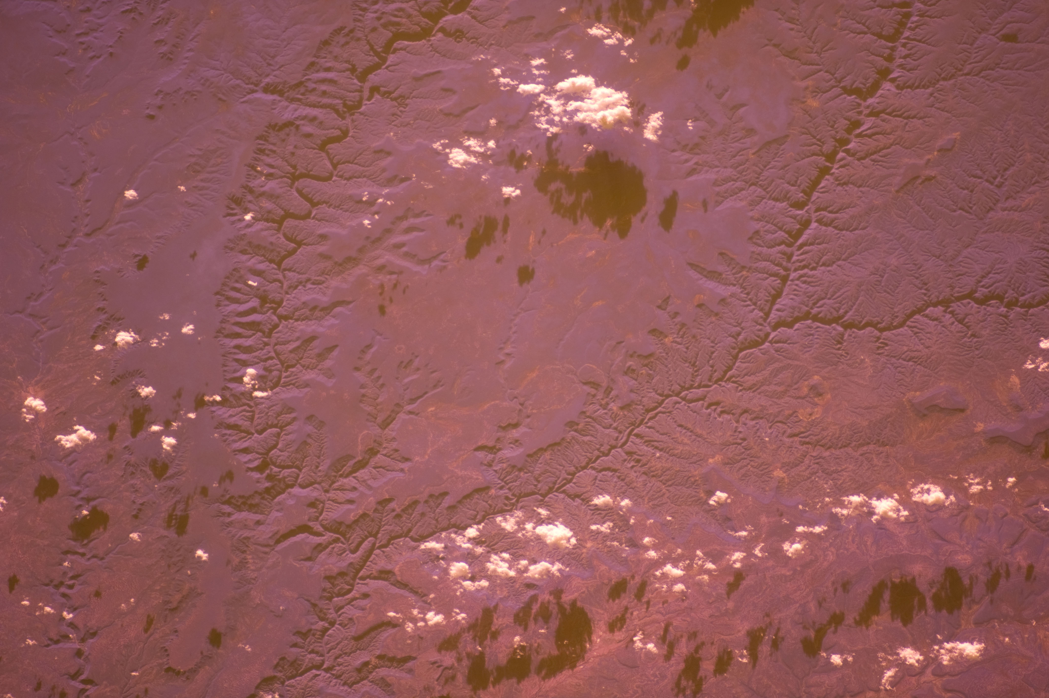 Image display