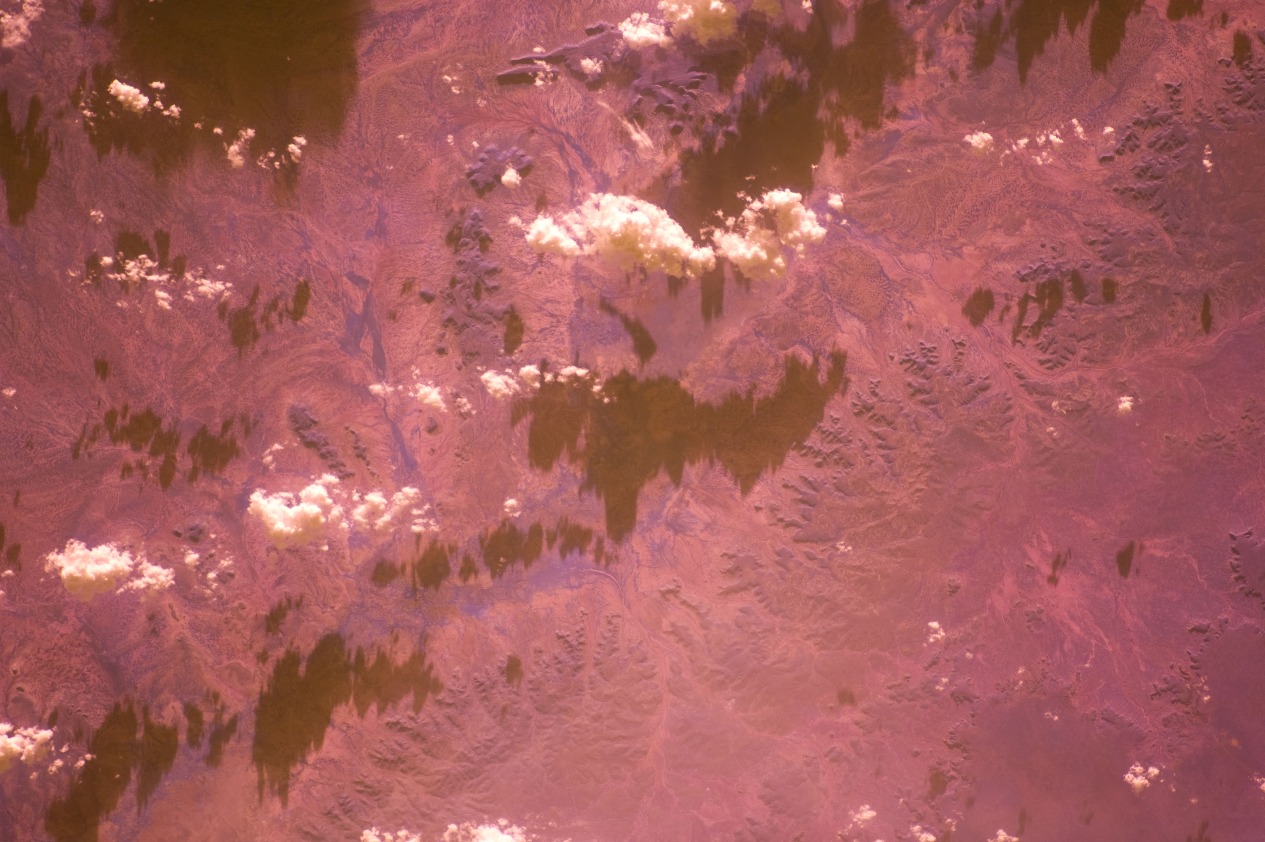 Image display