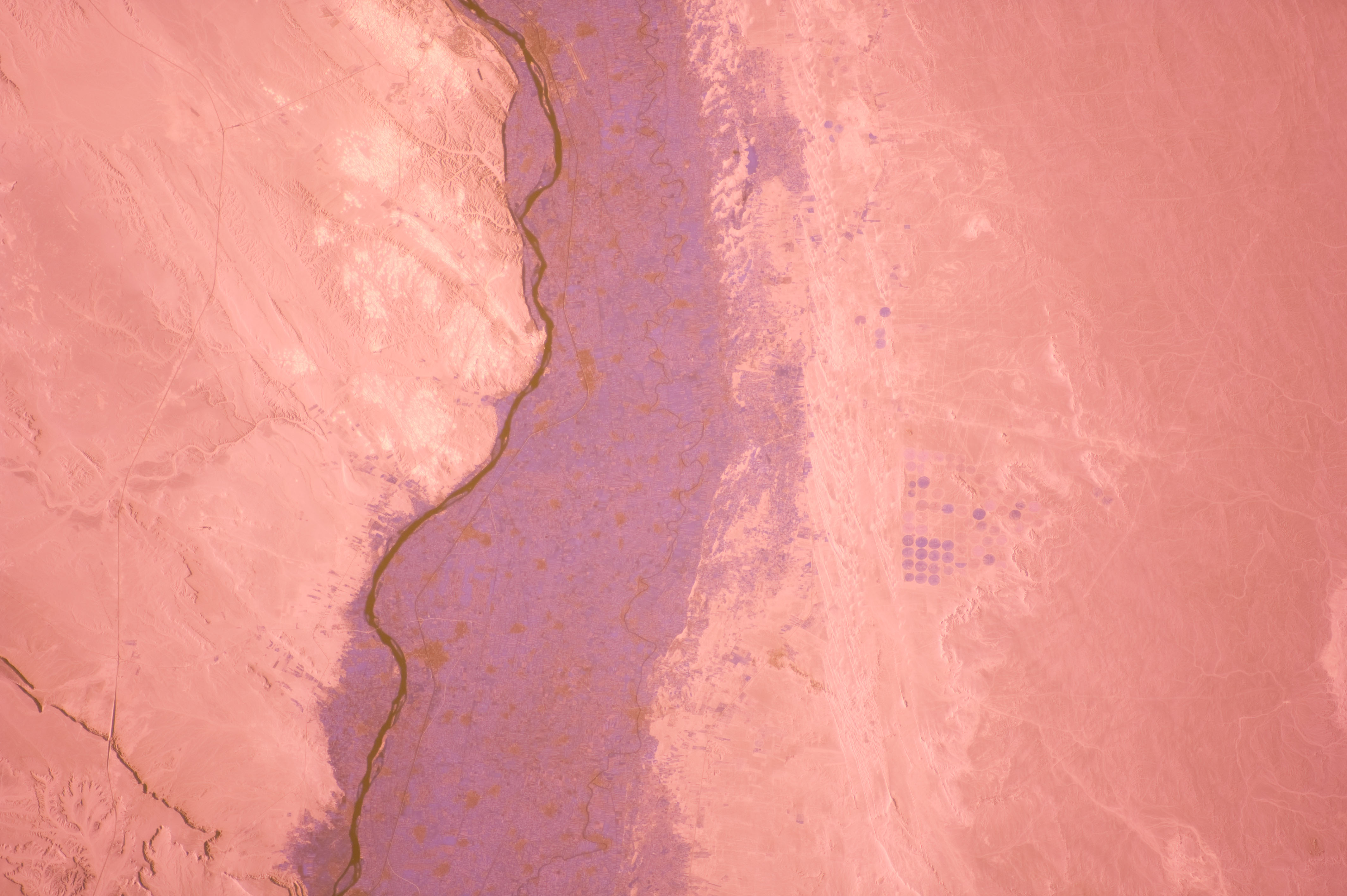 Image display