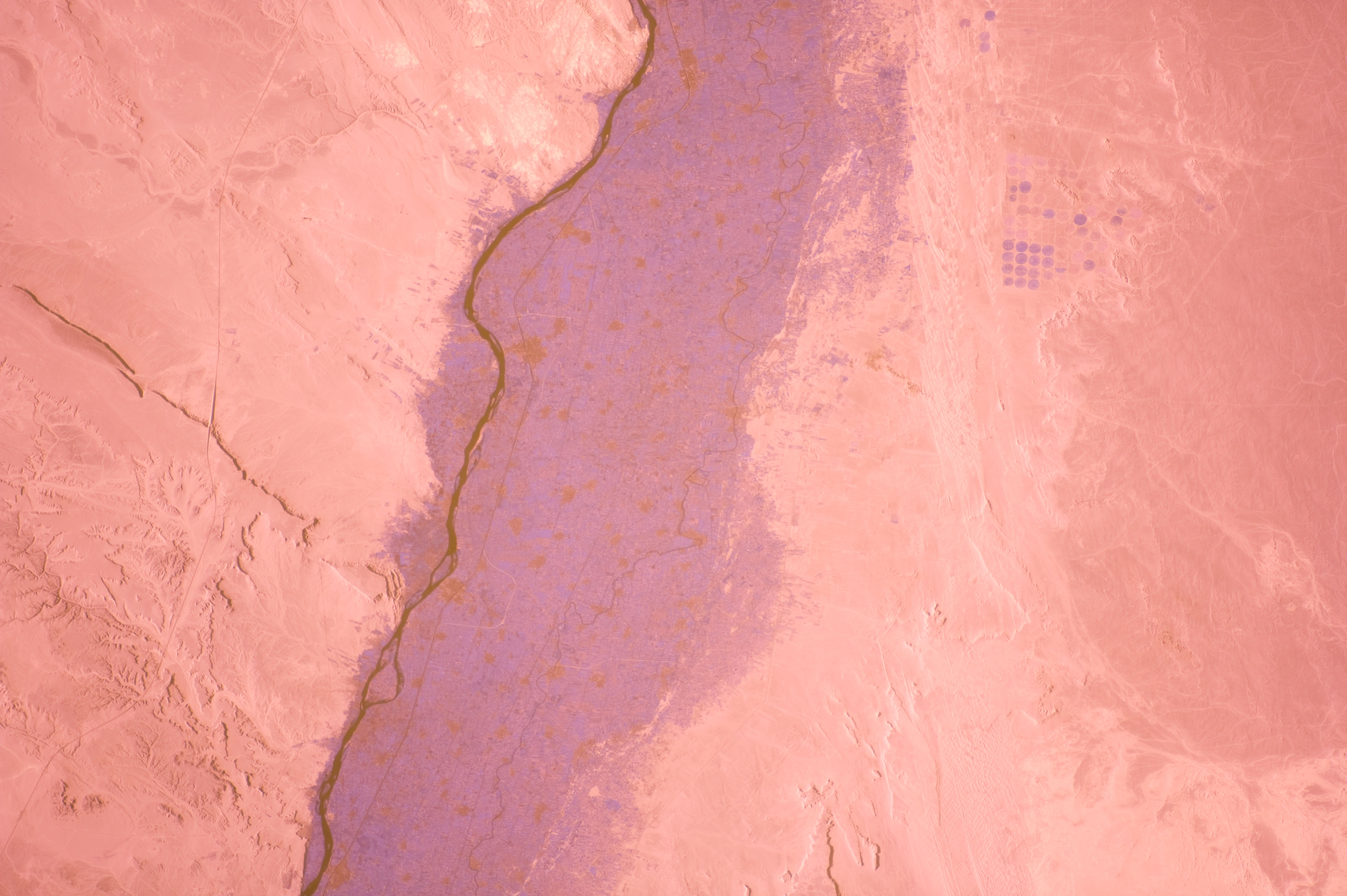 Image display