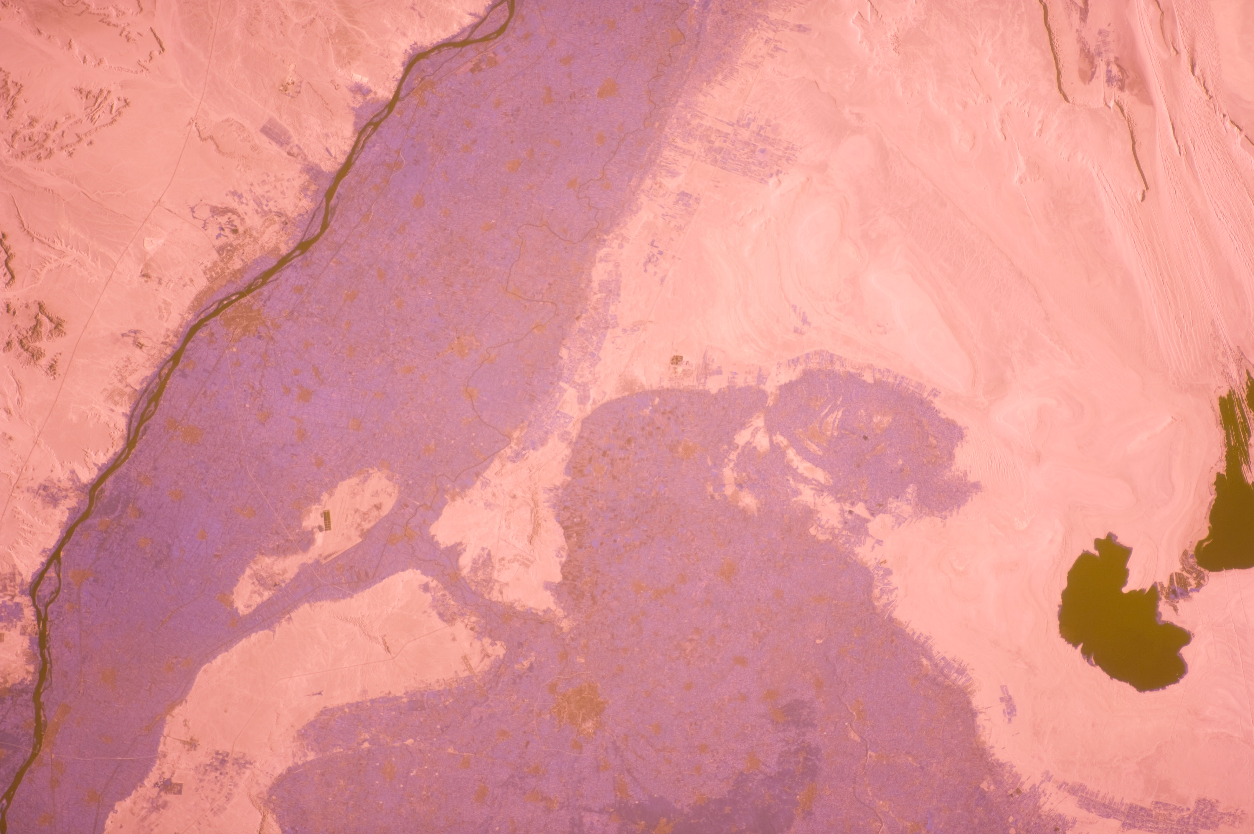 Image display