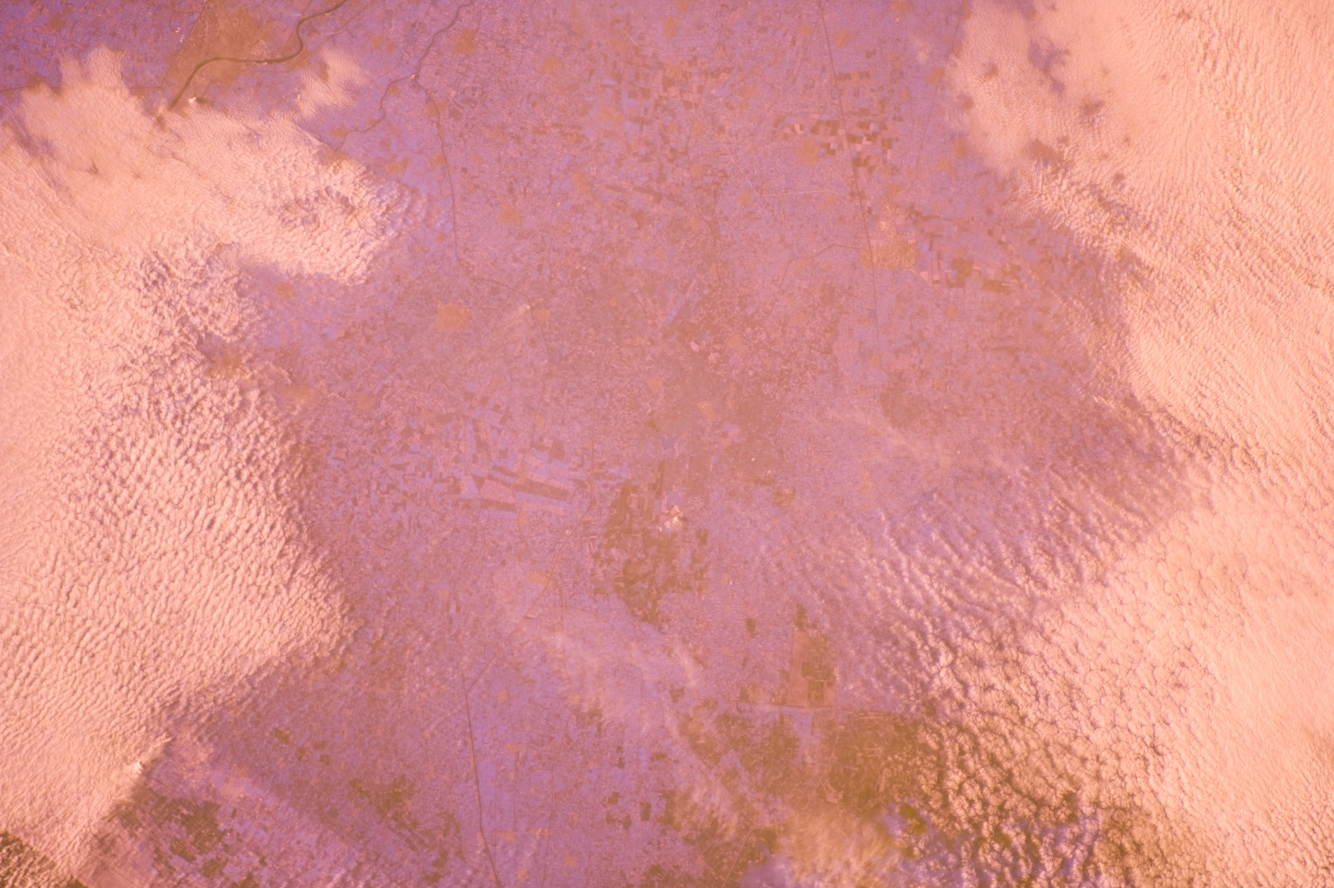 Image display