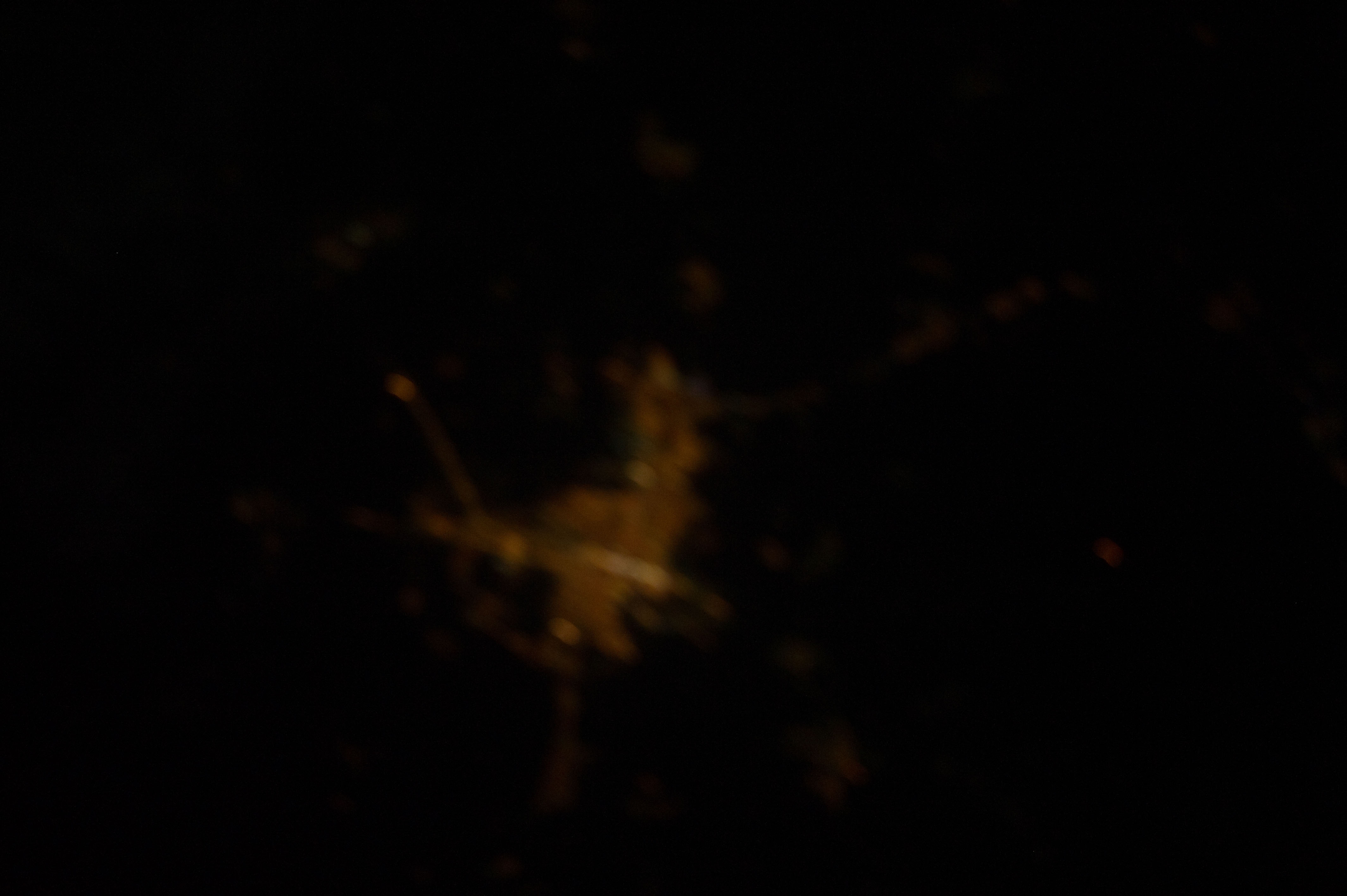 Image display