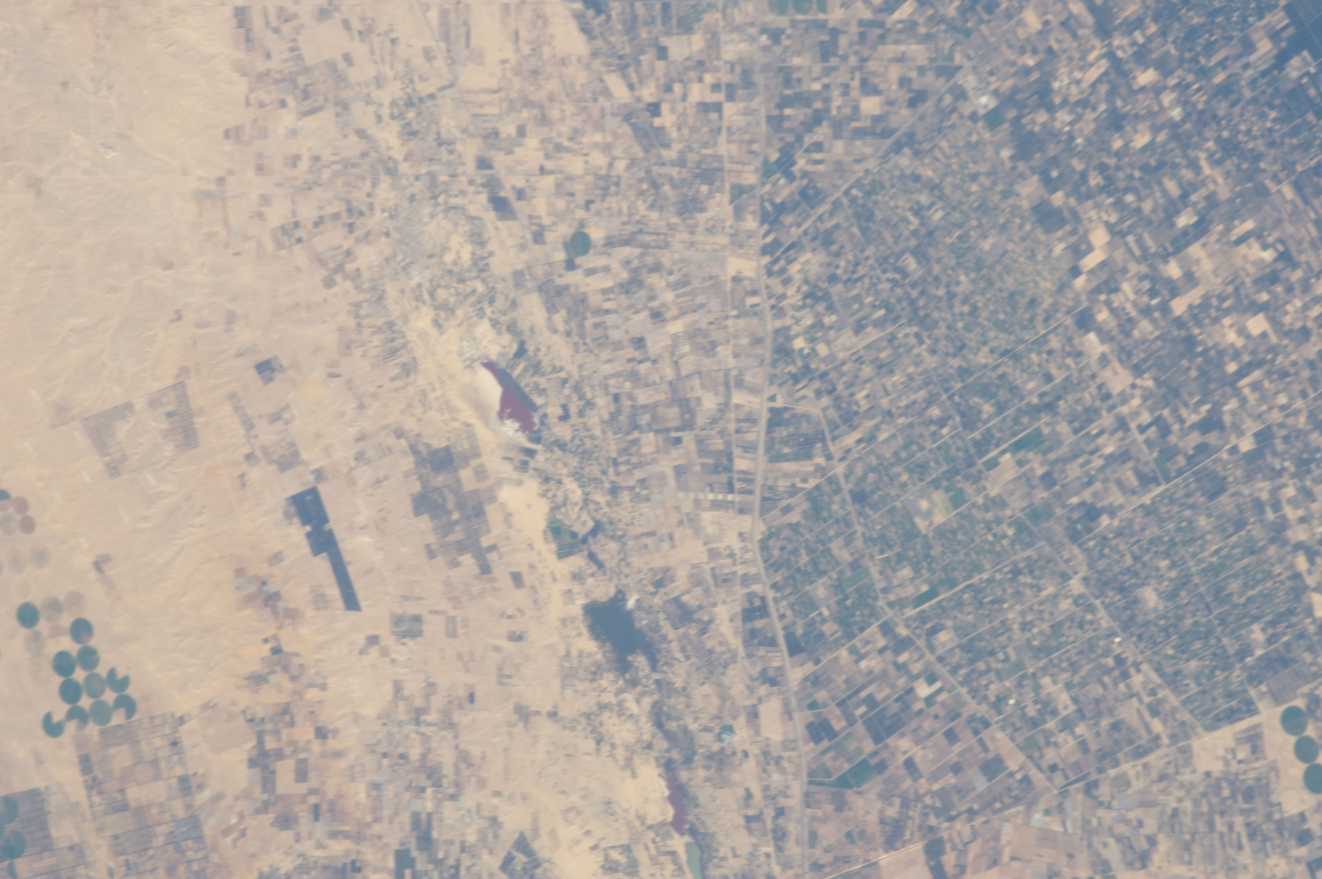 Image display