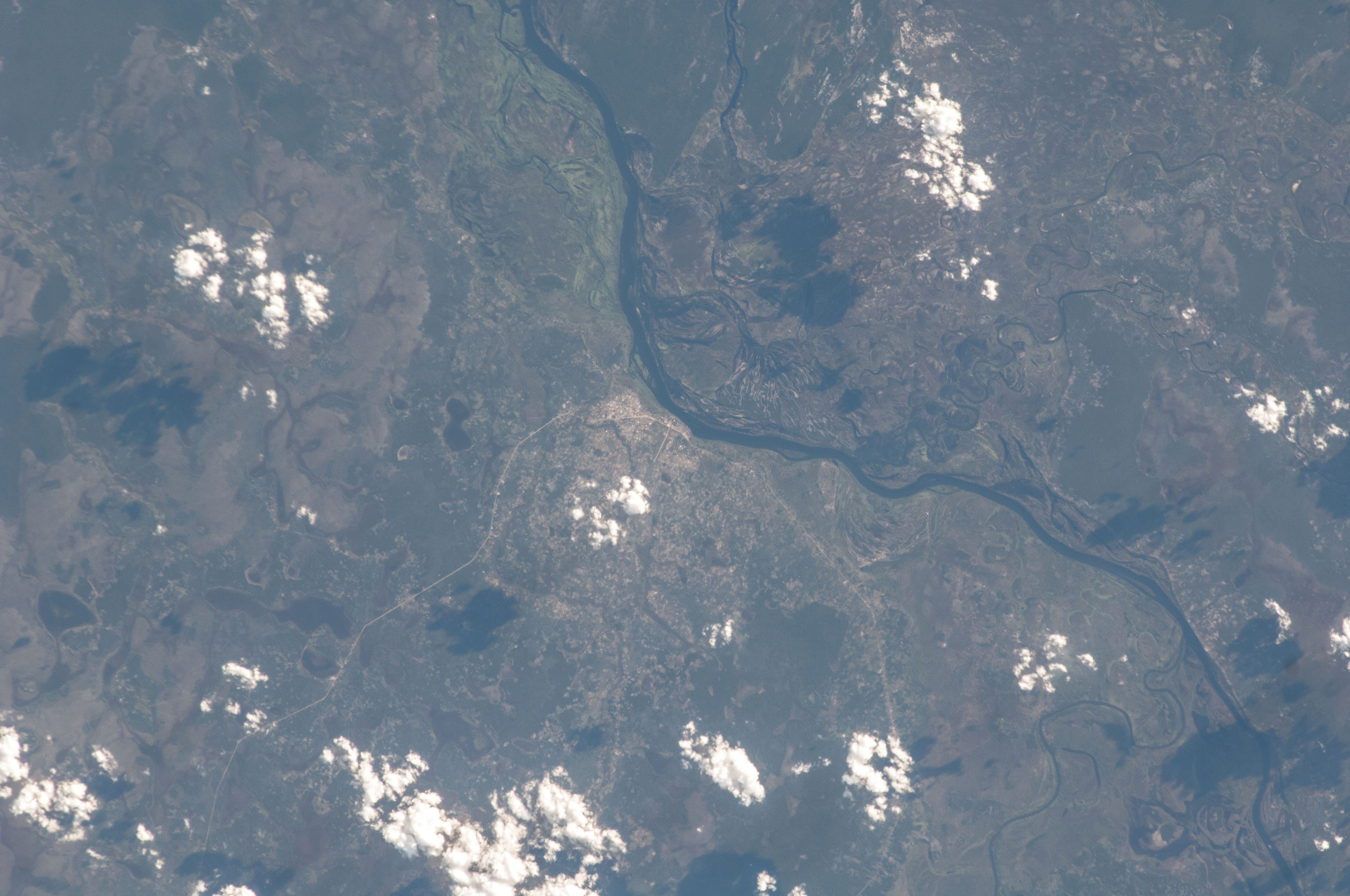 Image display