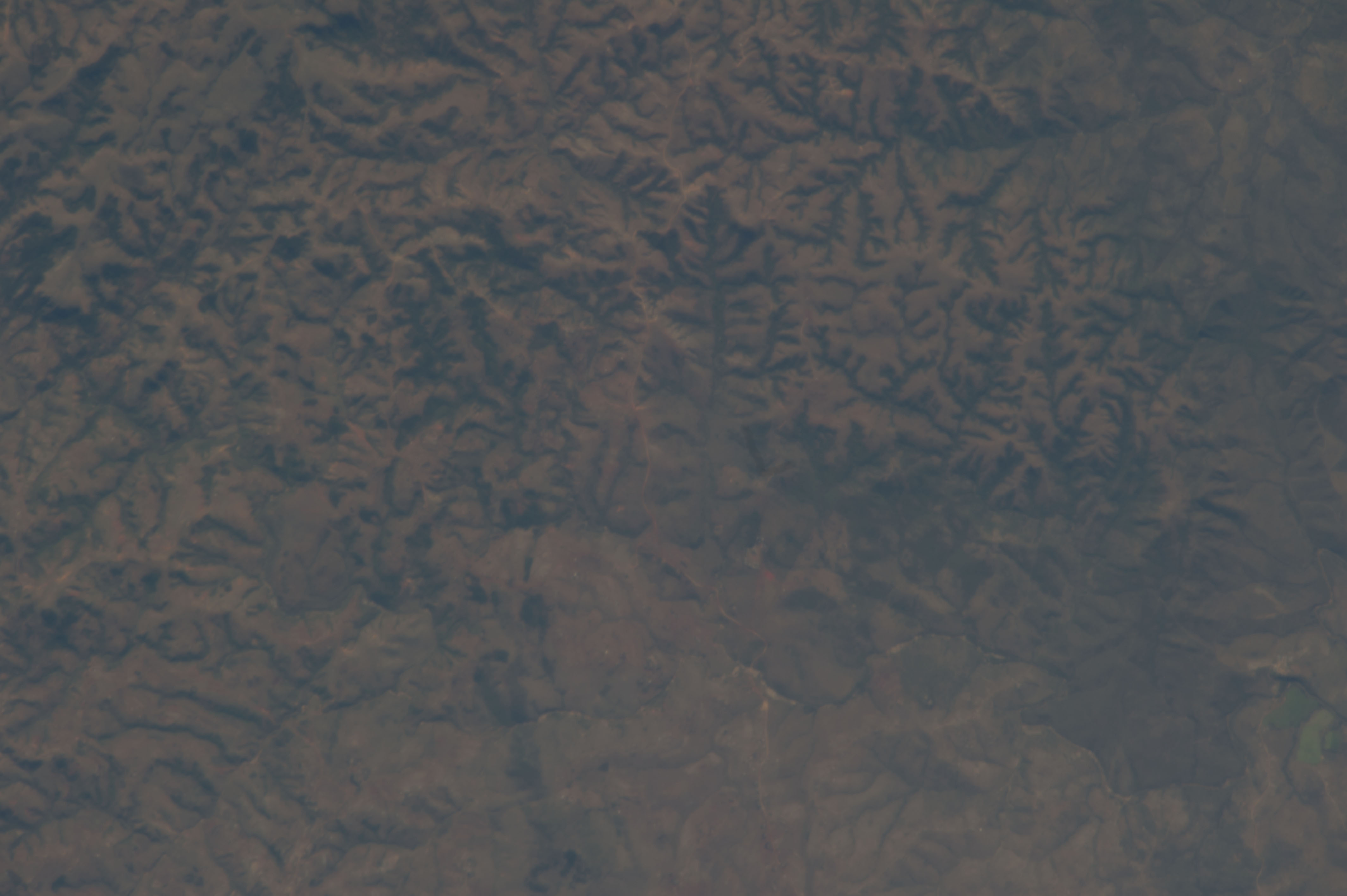 Image display