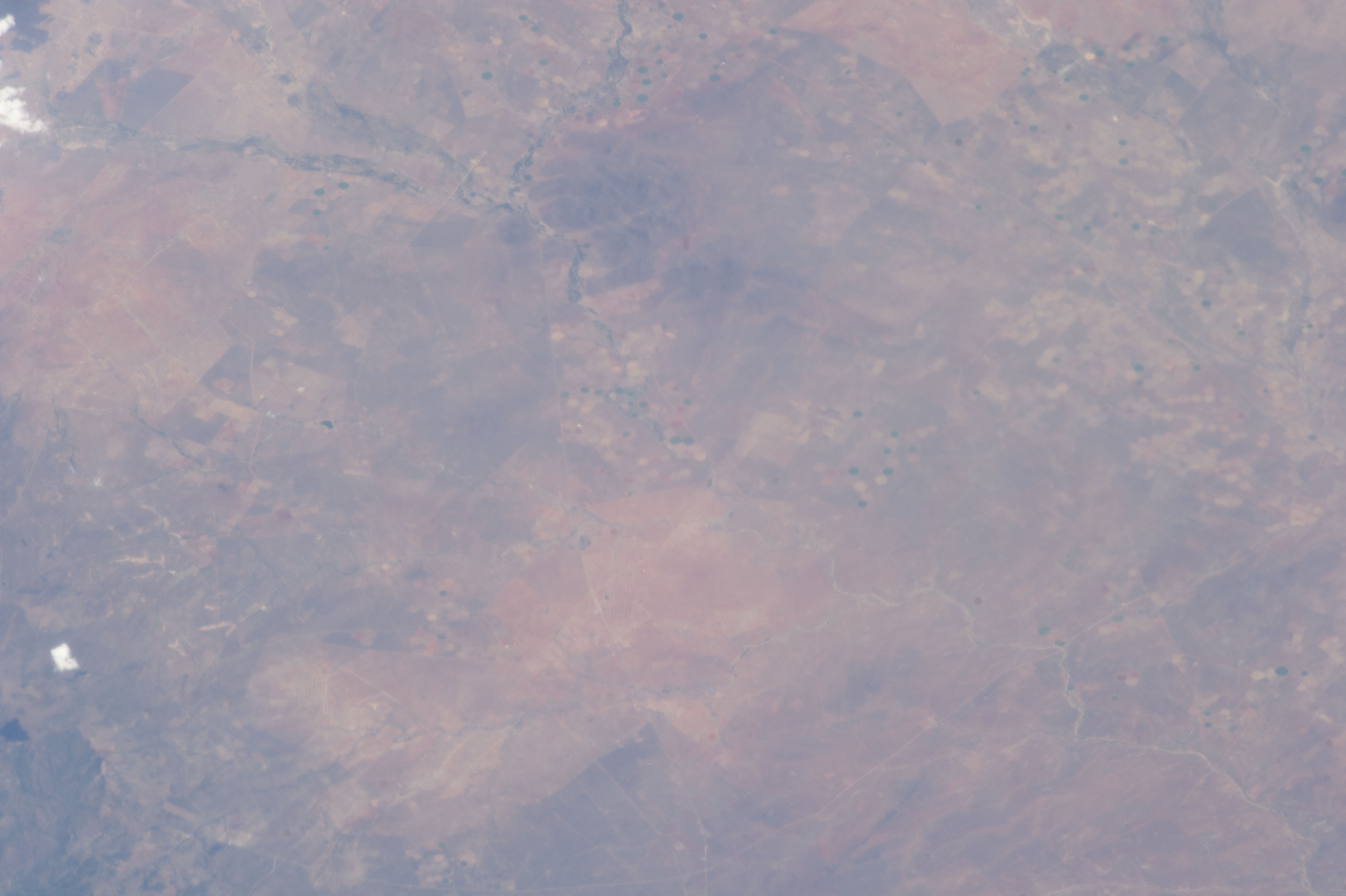 Image display