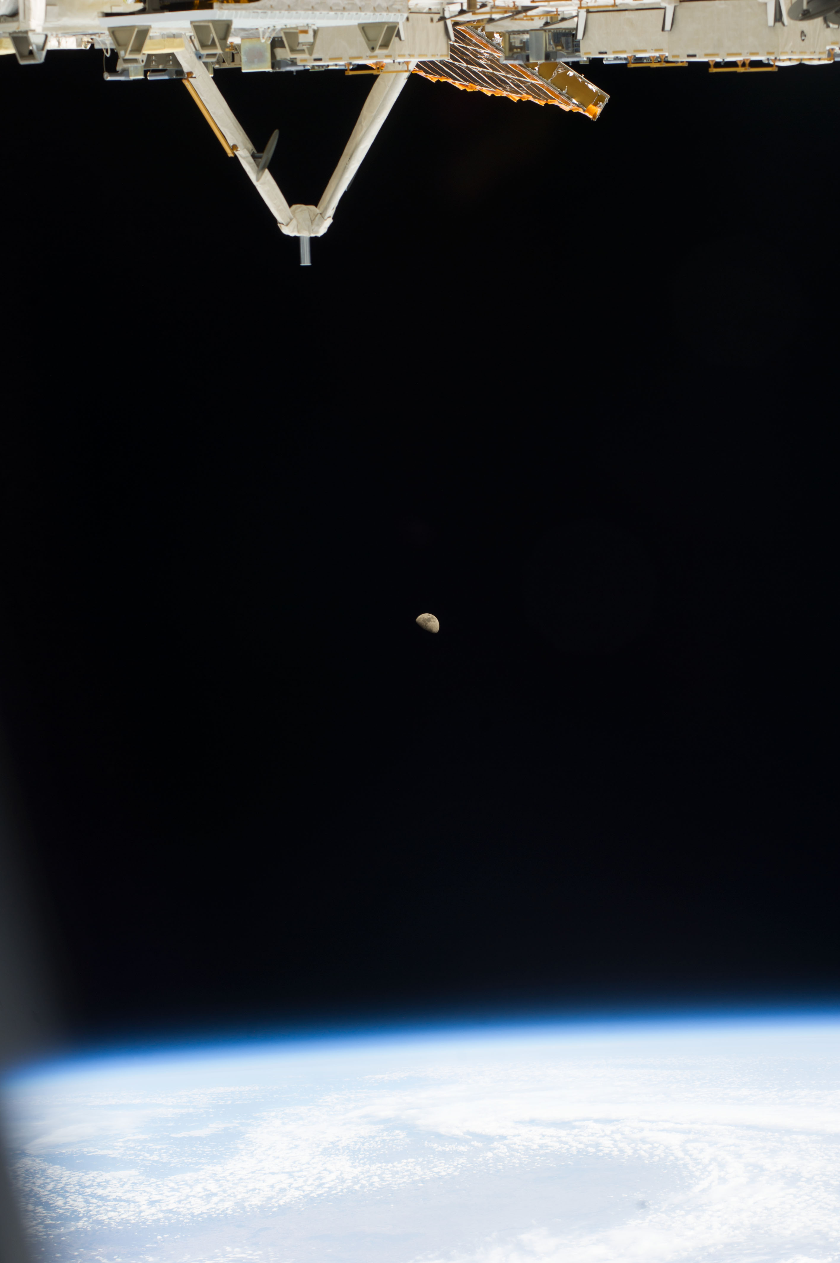Image display