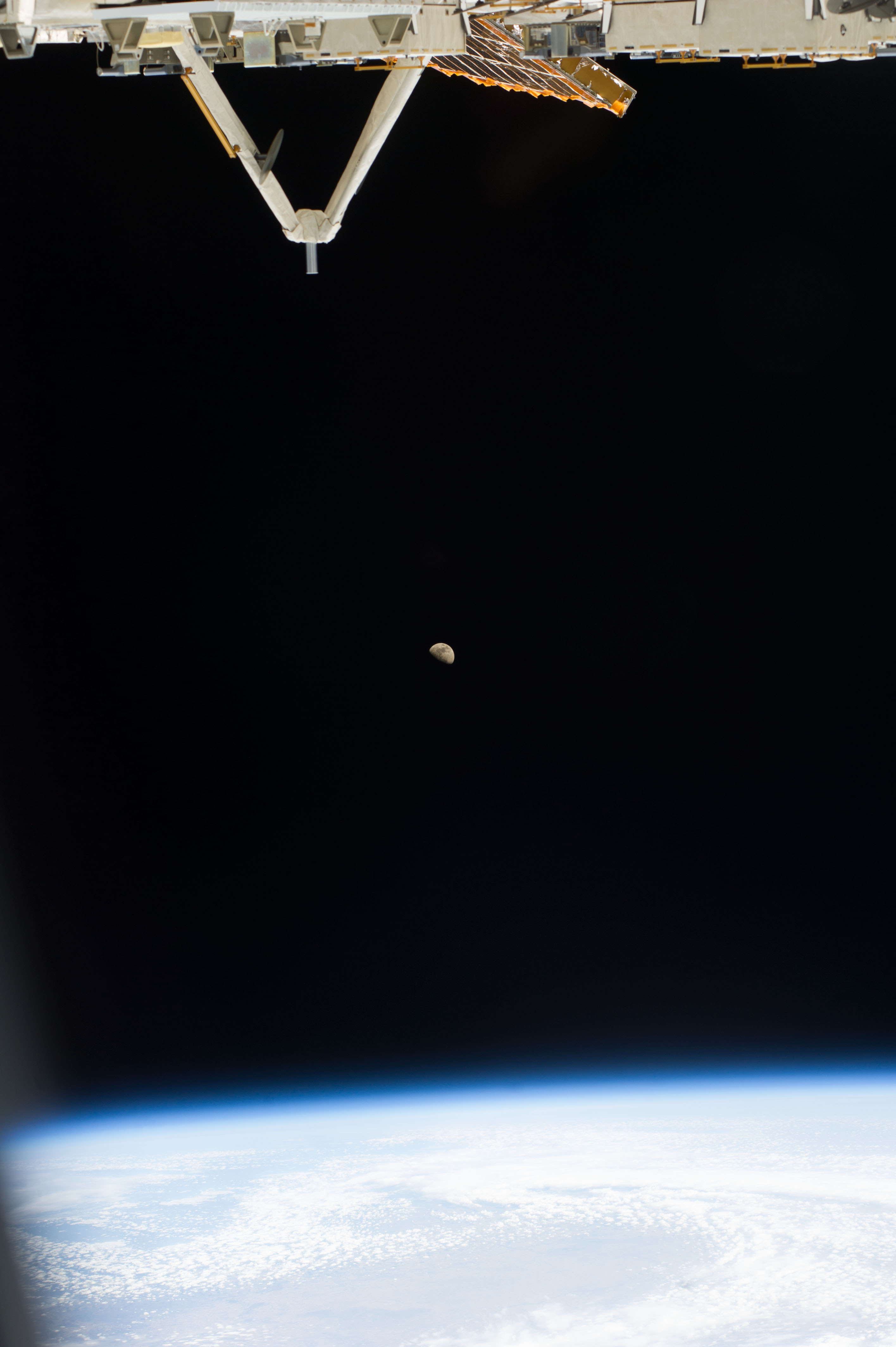 Image display