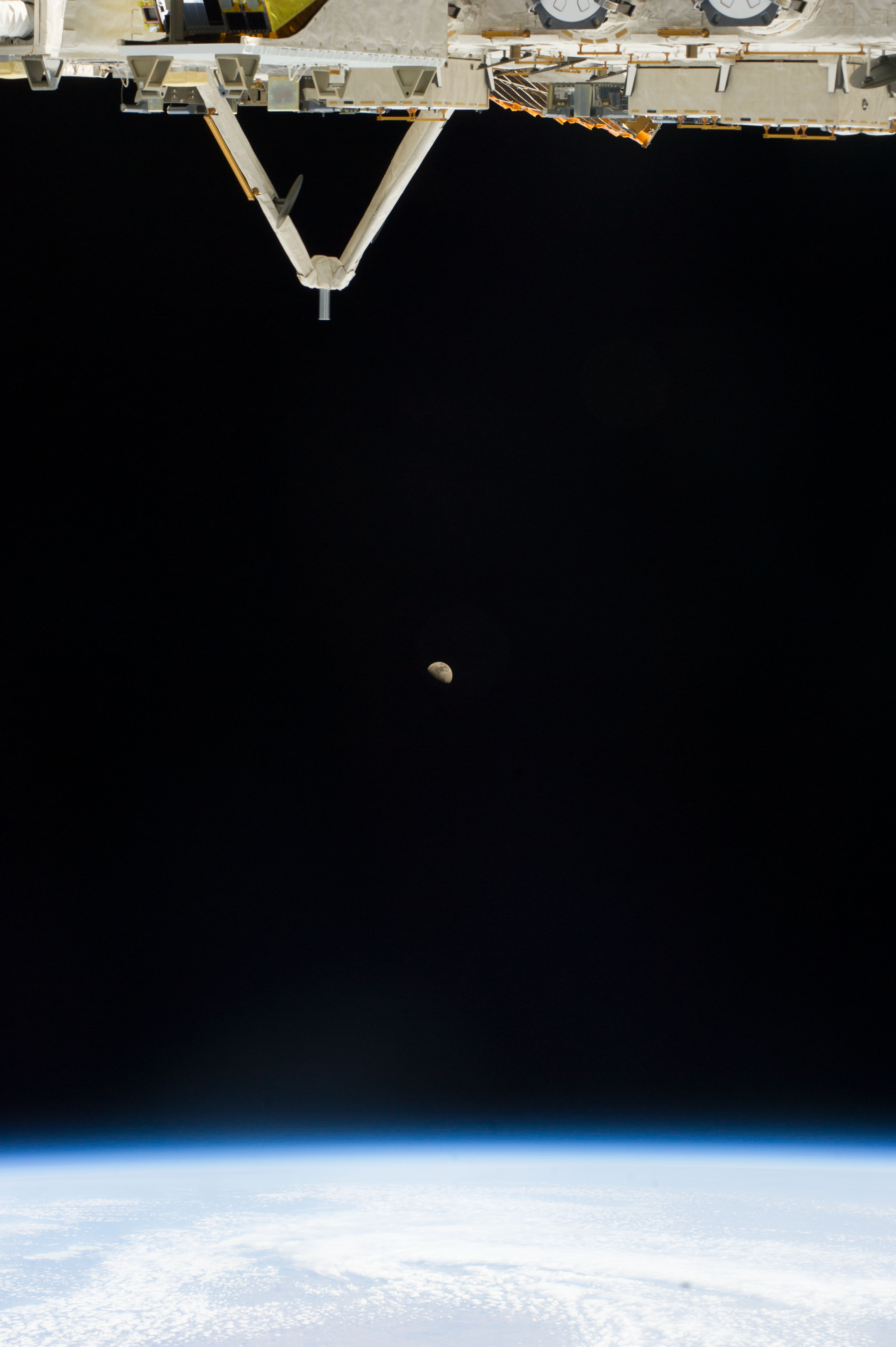 Image display