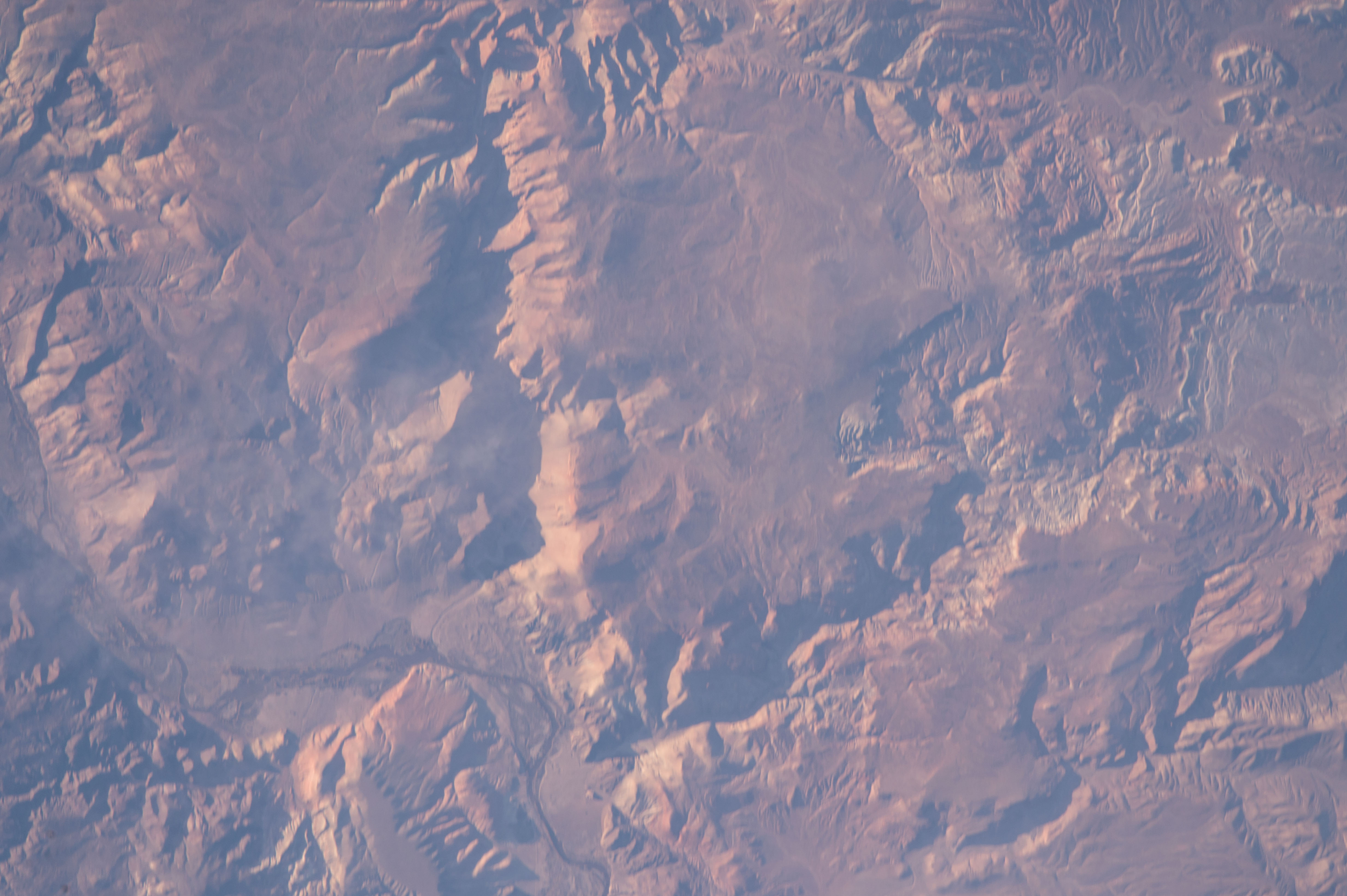 Image display