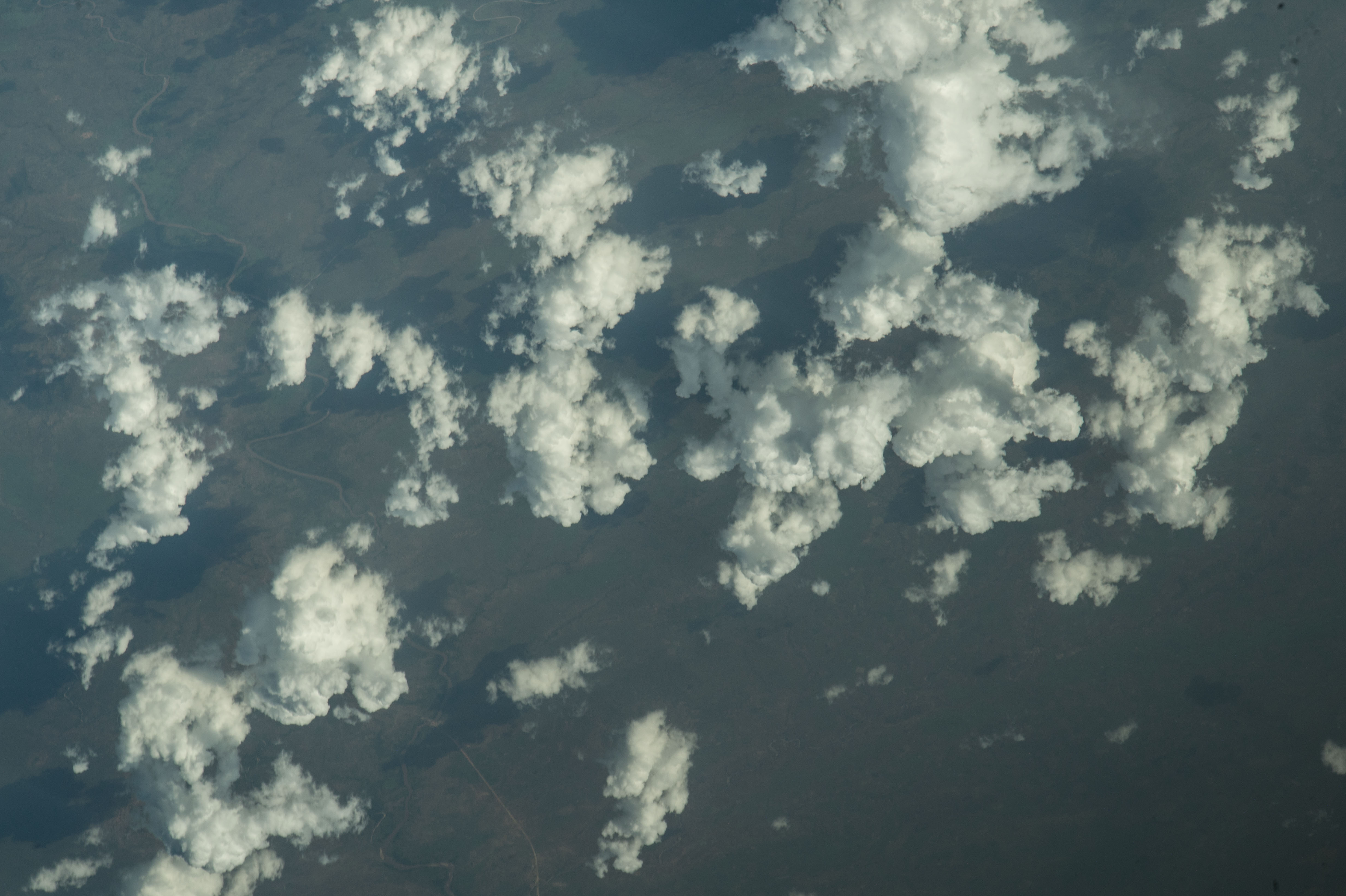 Image display