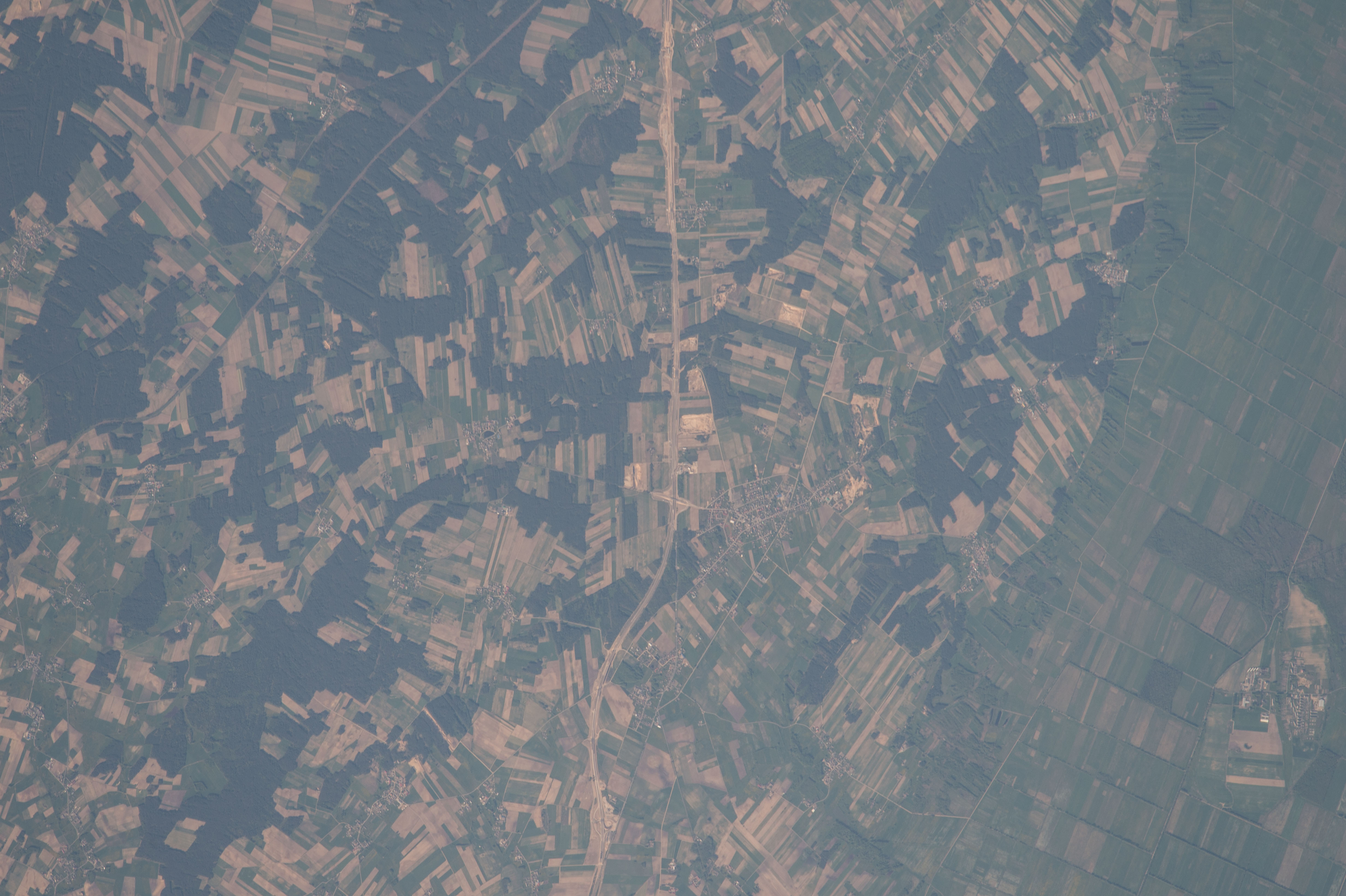 Image display