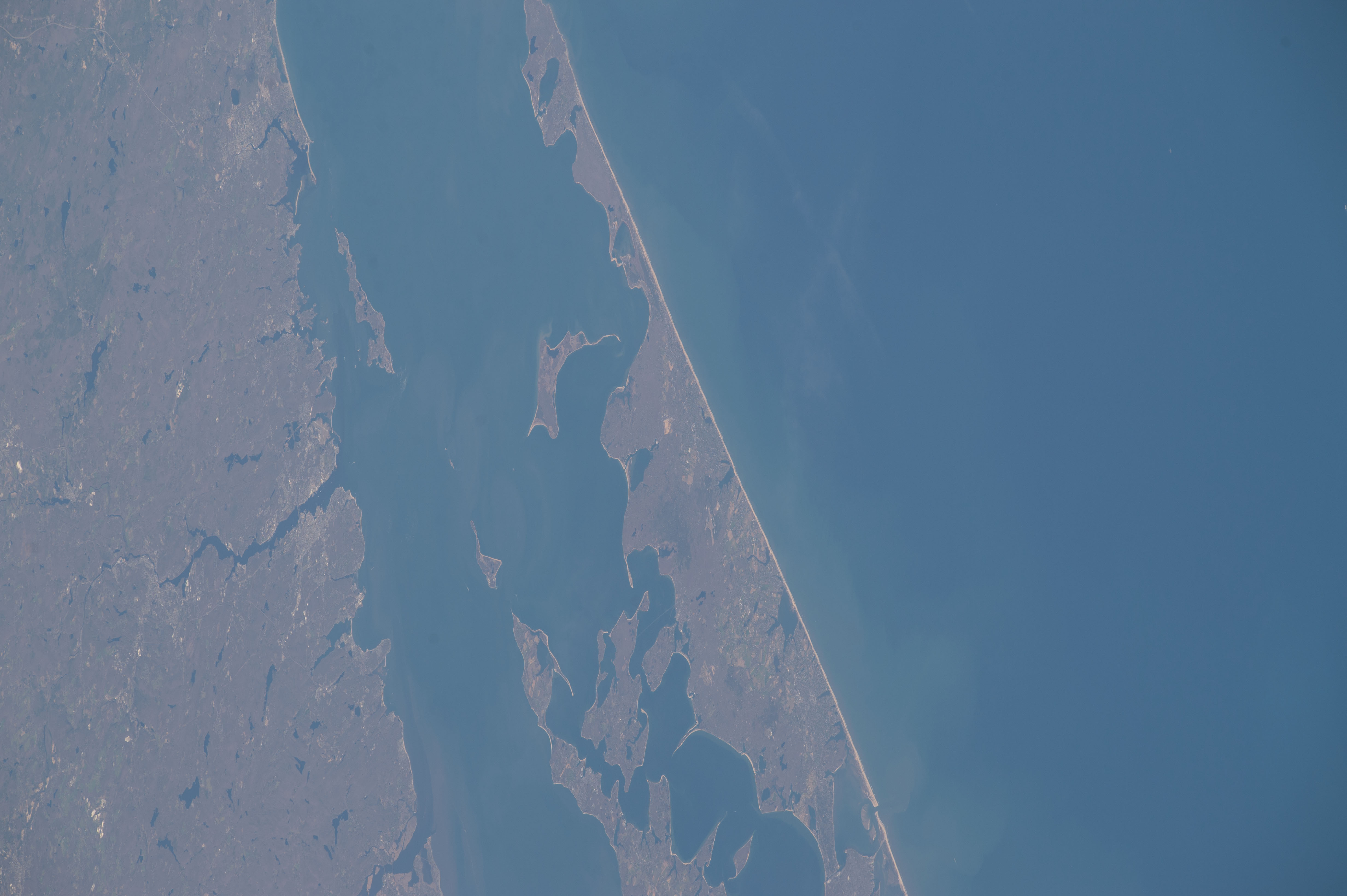 Image display