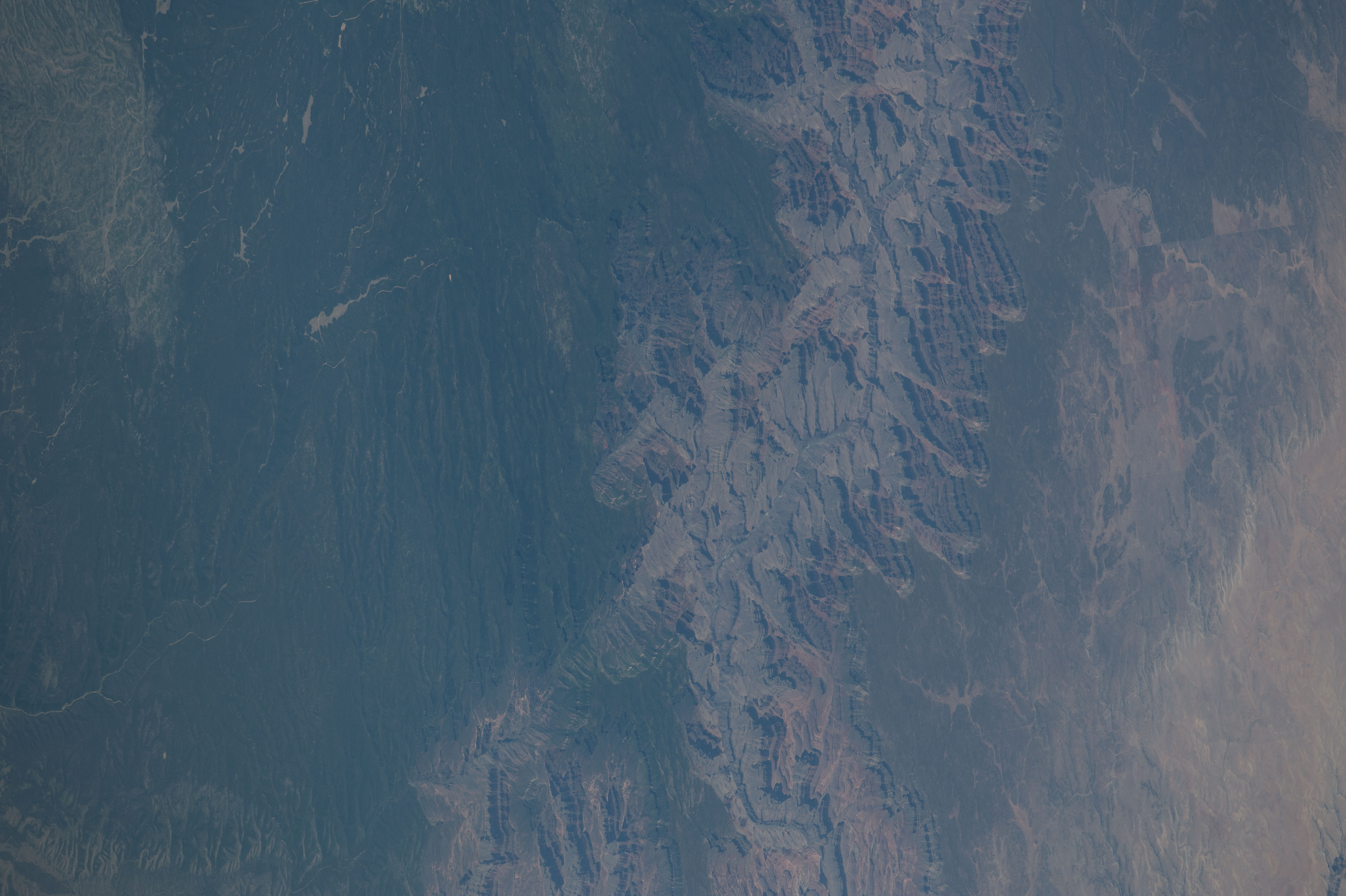 Image display