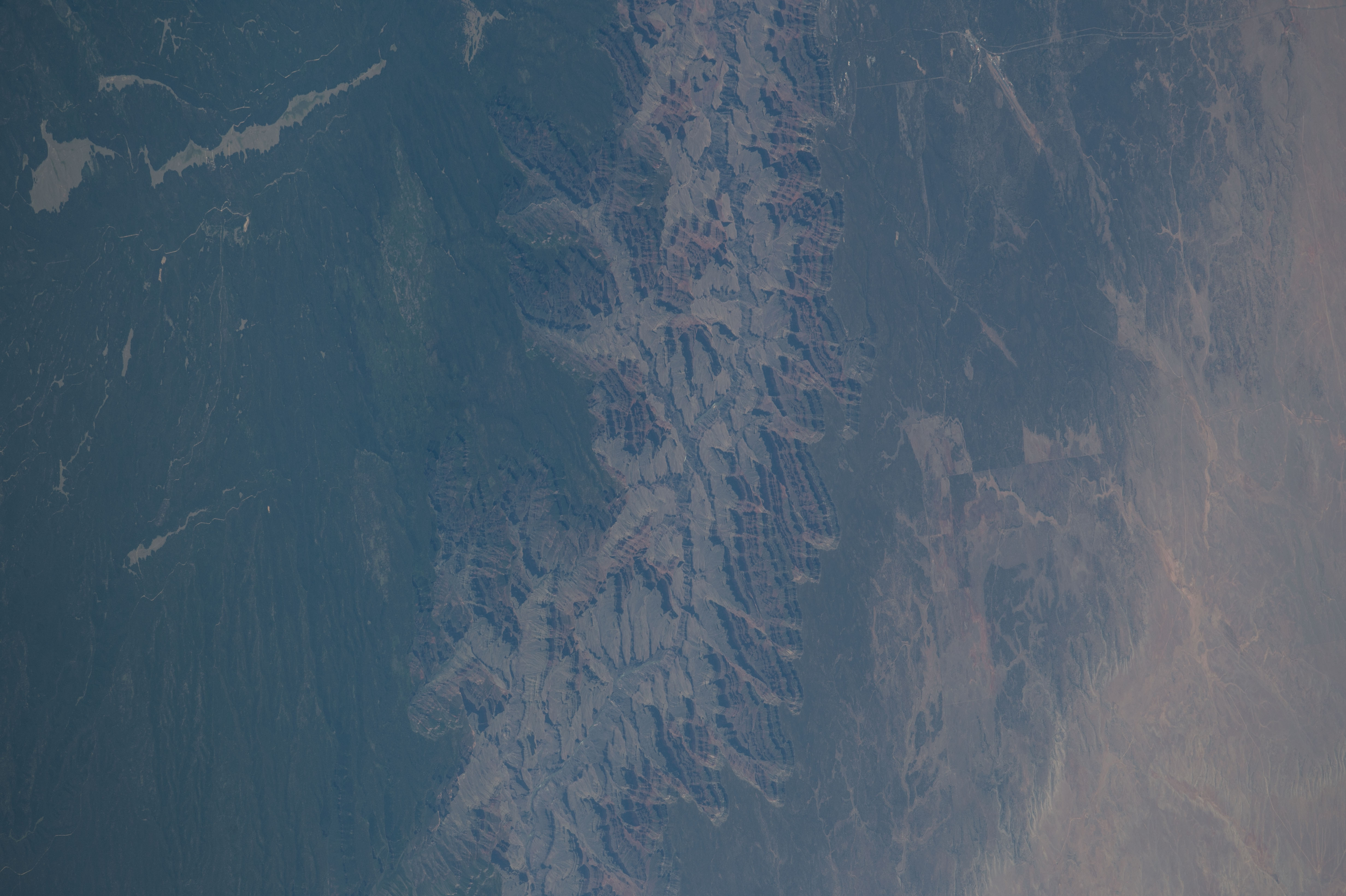 Image display