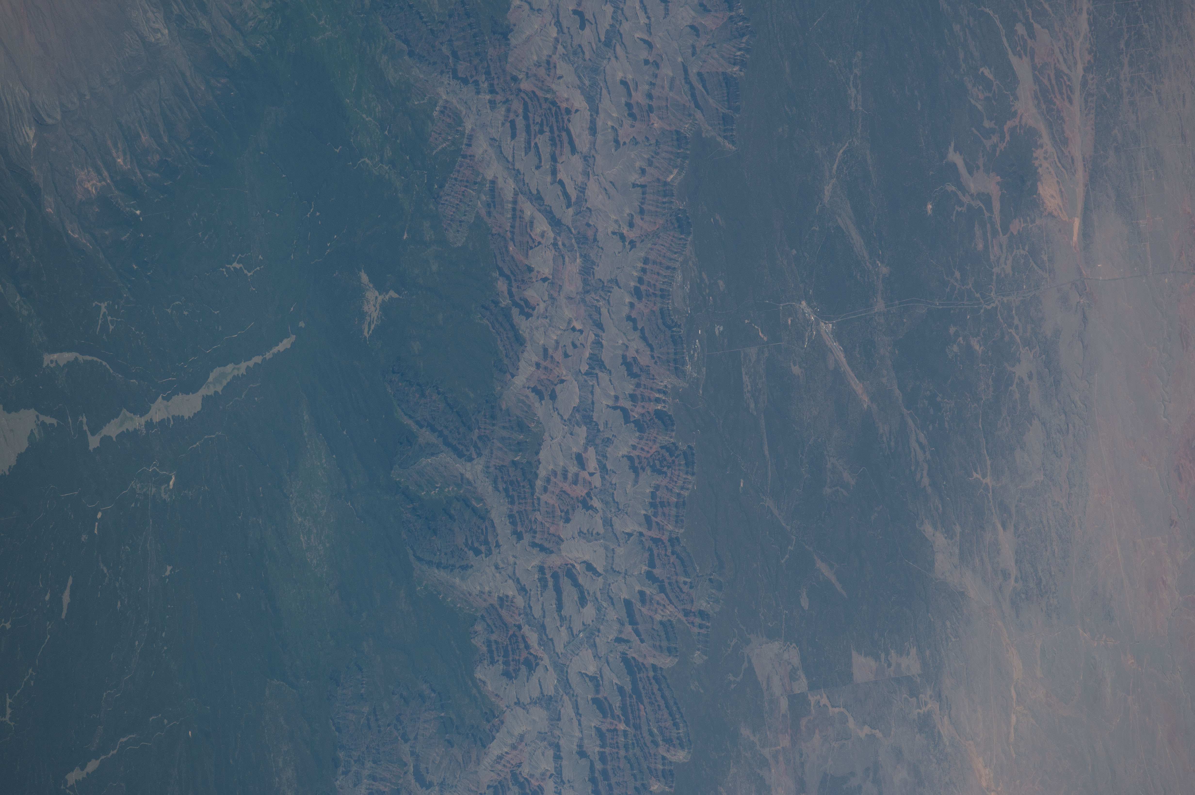 Image display